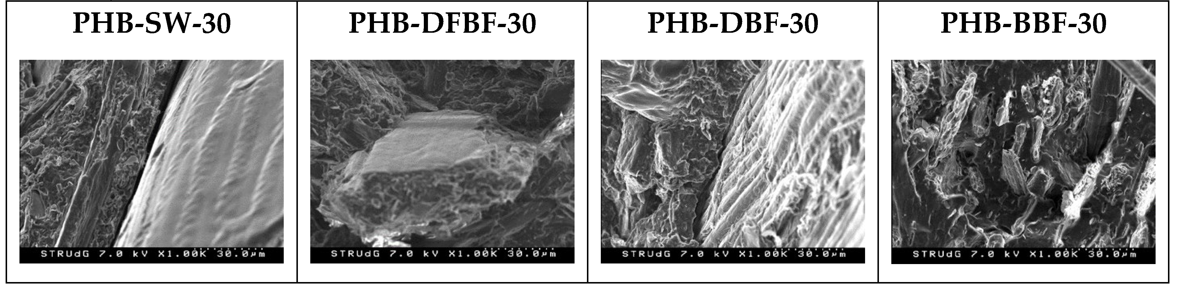 Preprints 94585 g005