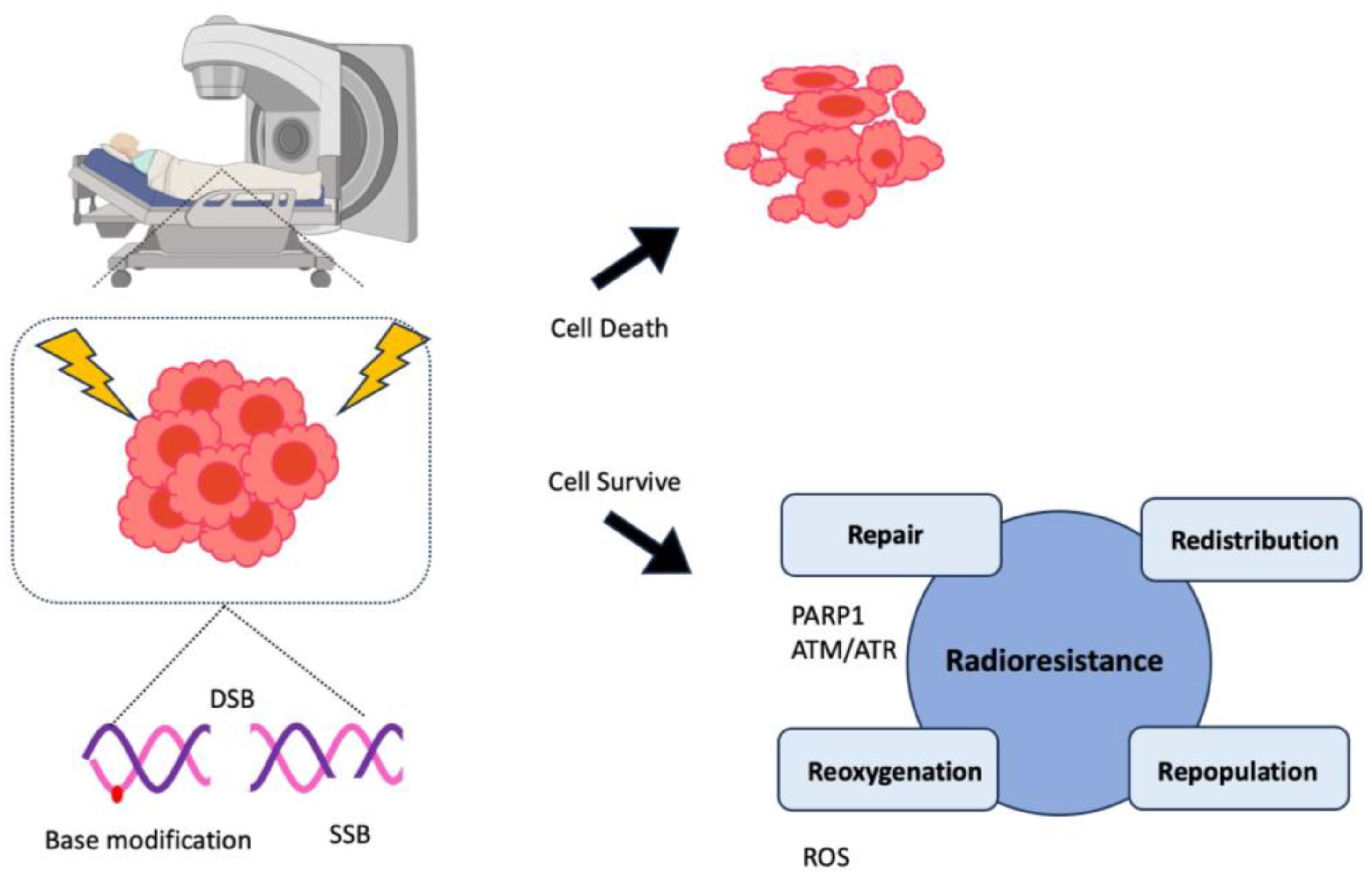 Preprints 89135 g001