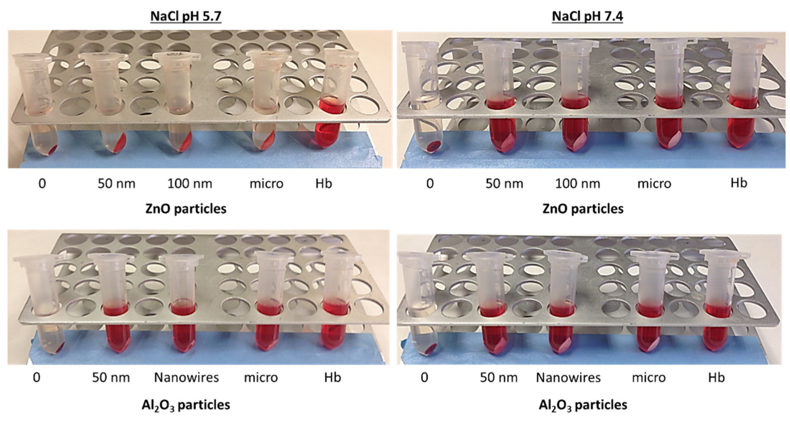 Preprints 73861 g006