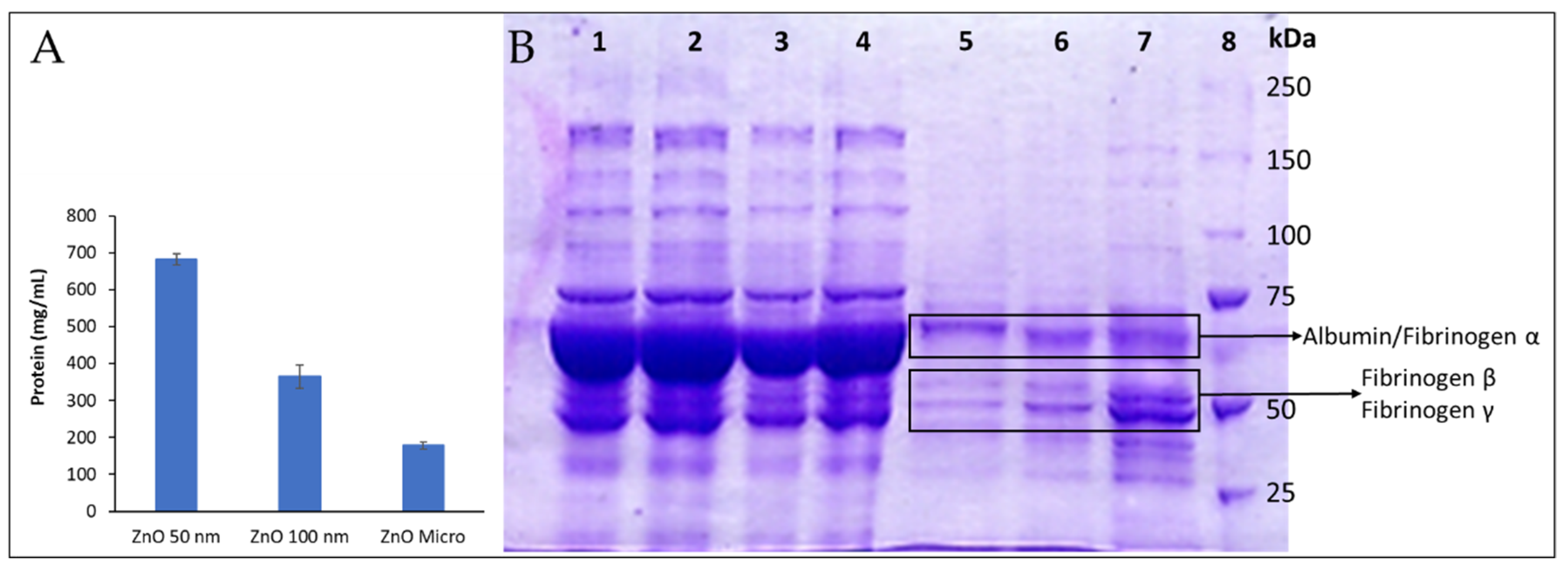 Preprints 73861 g011