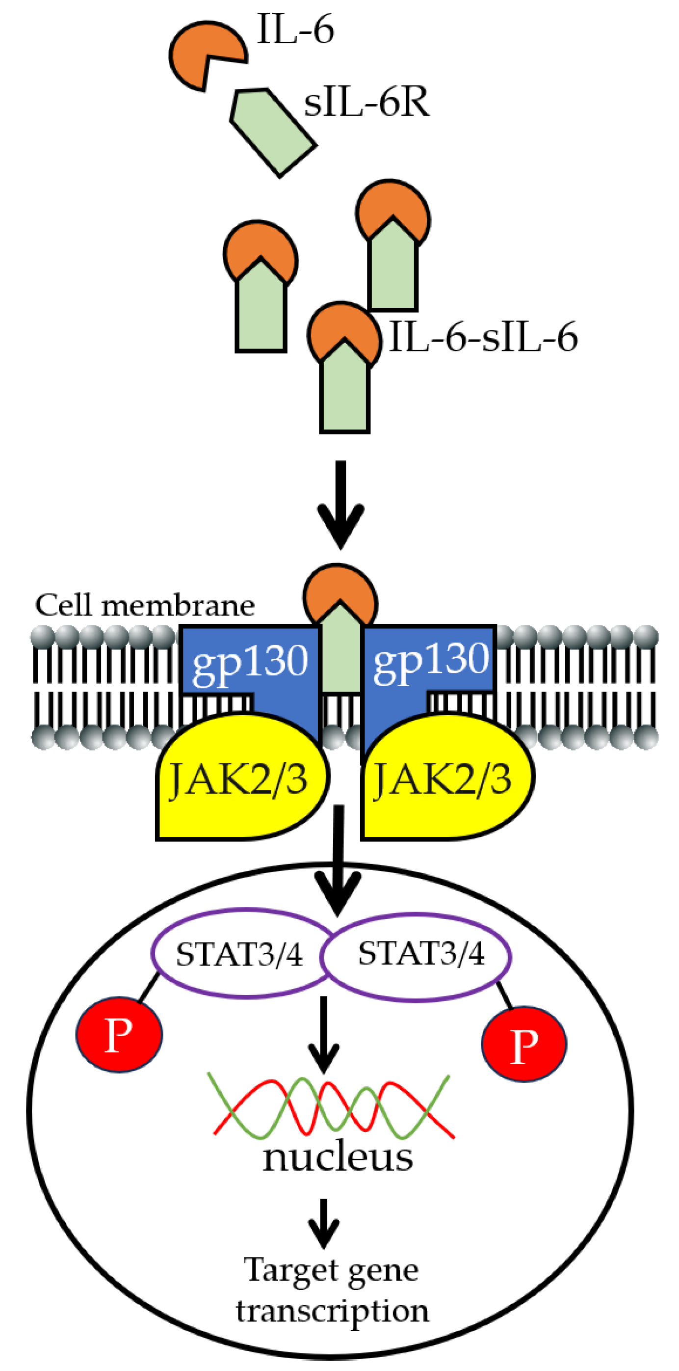 Preprints 113201 g001