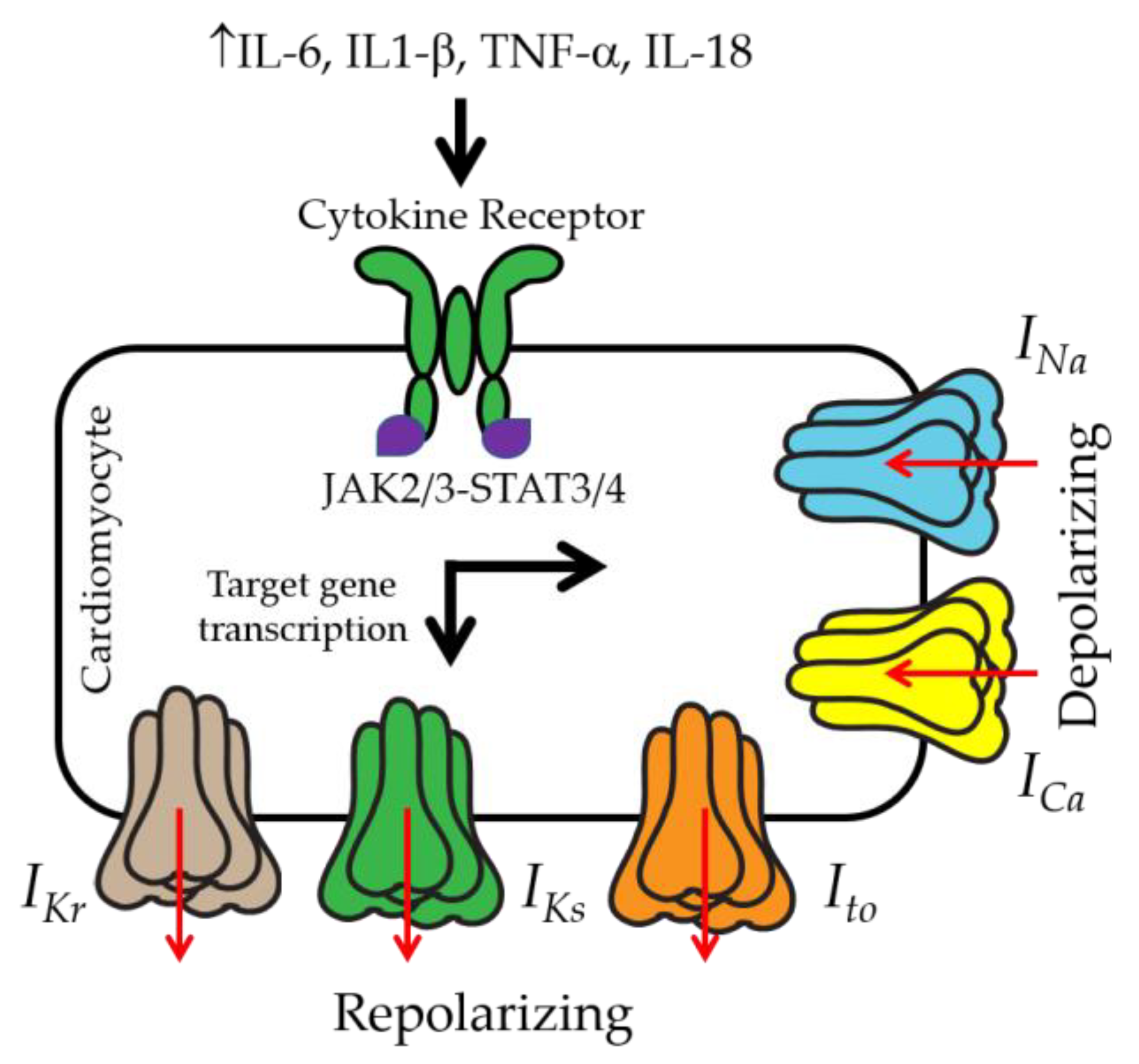 Preprints 113201 g002