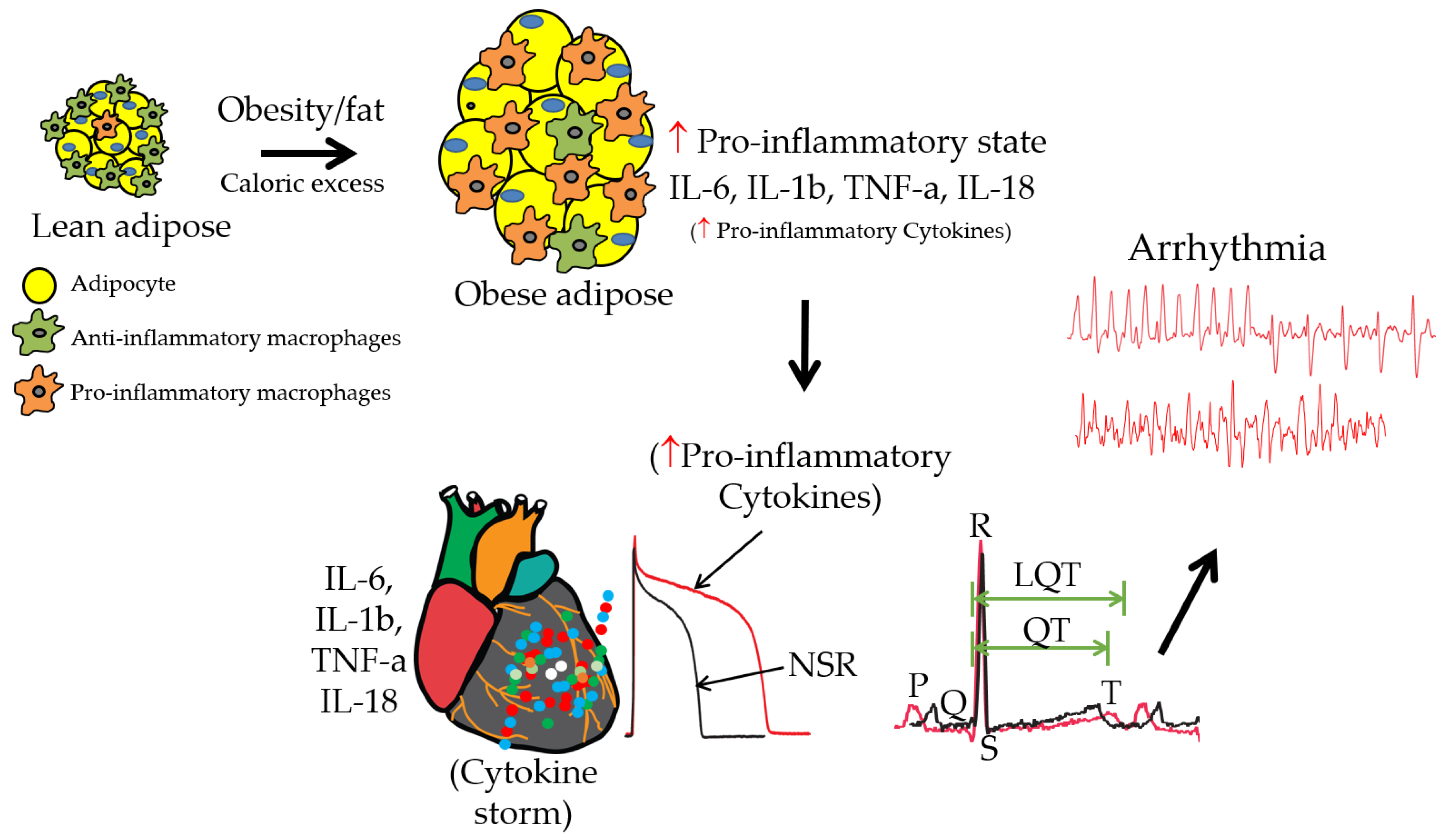 Preprints 113201 g003