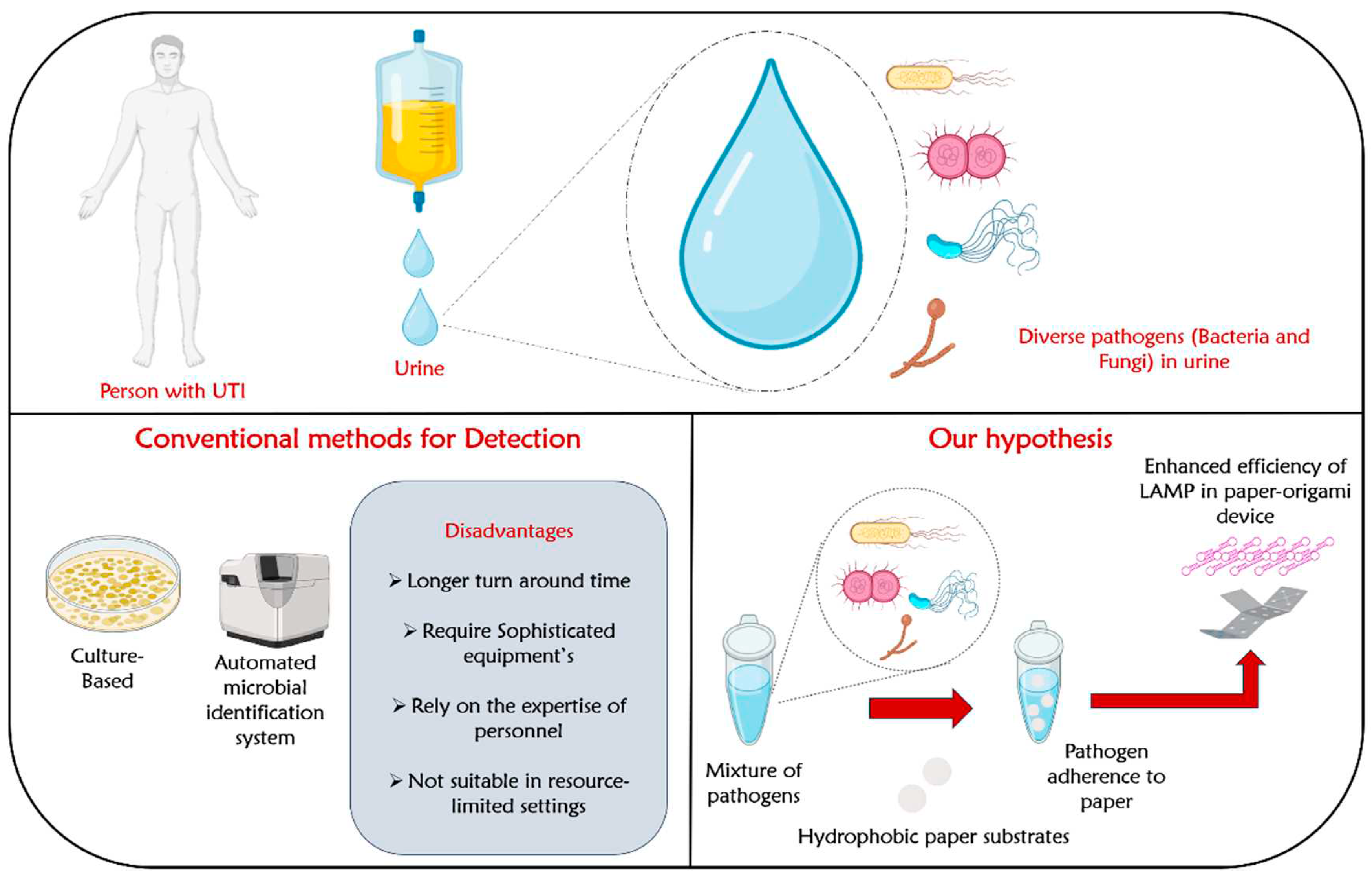 Preprints 85795 g001