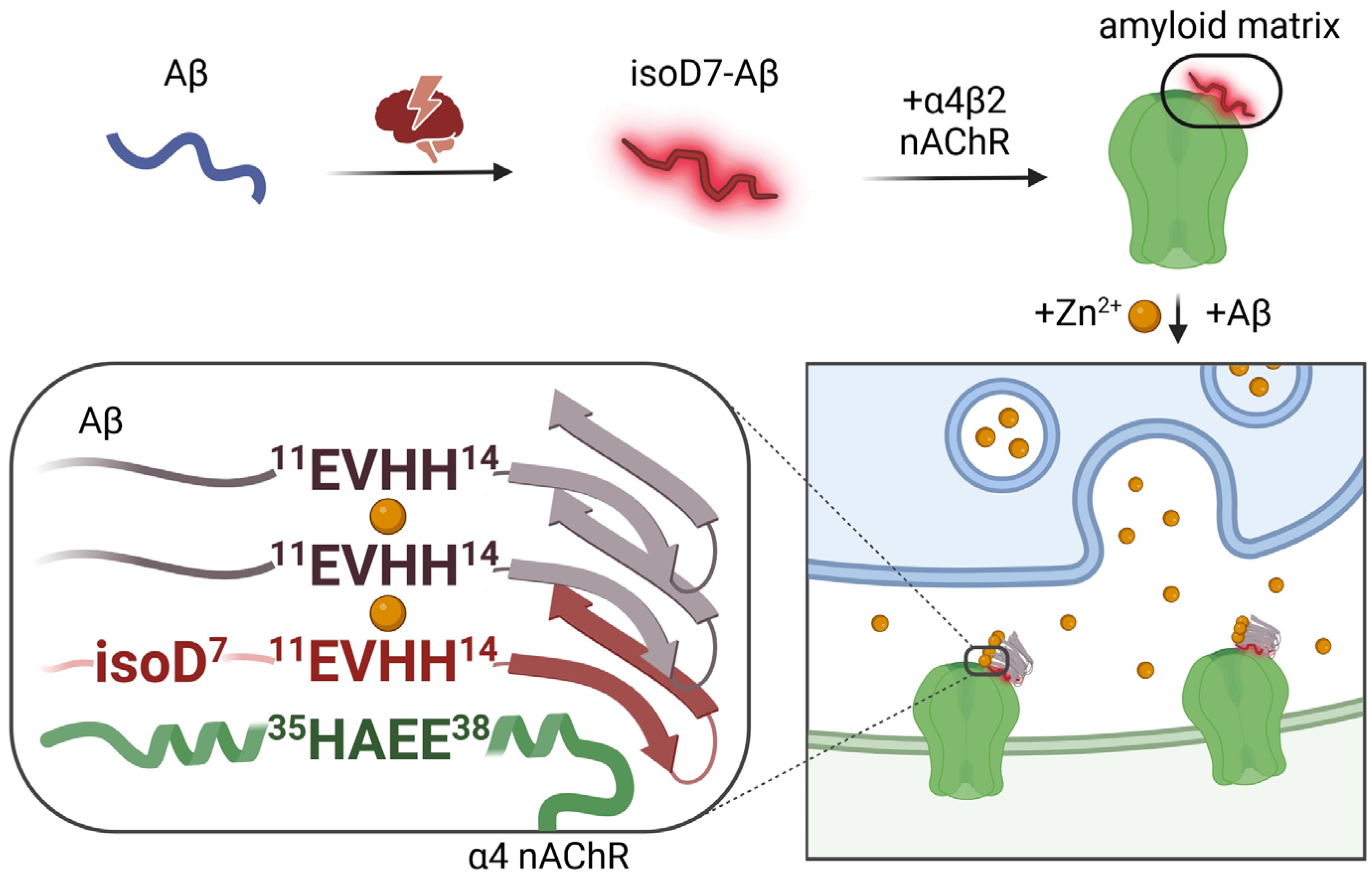 Preprints 93009 g001