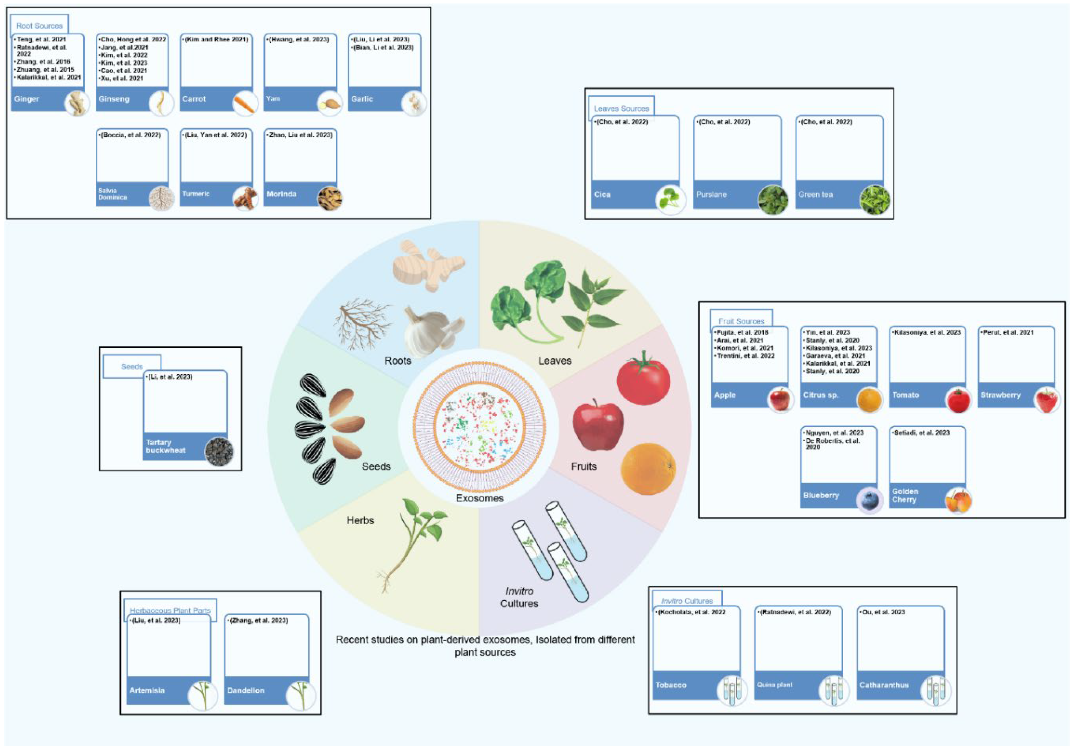 Preprints 113254 g002