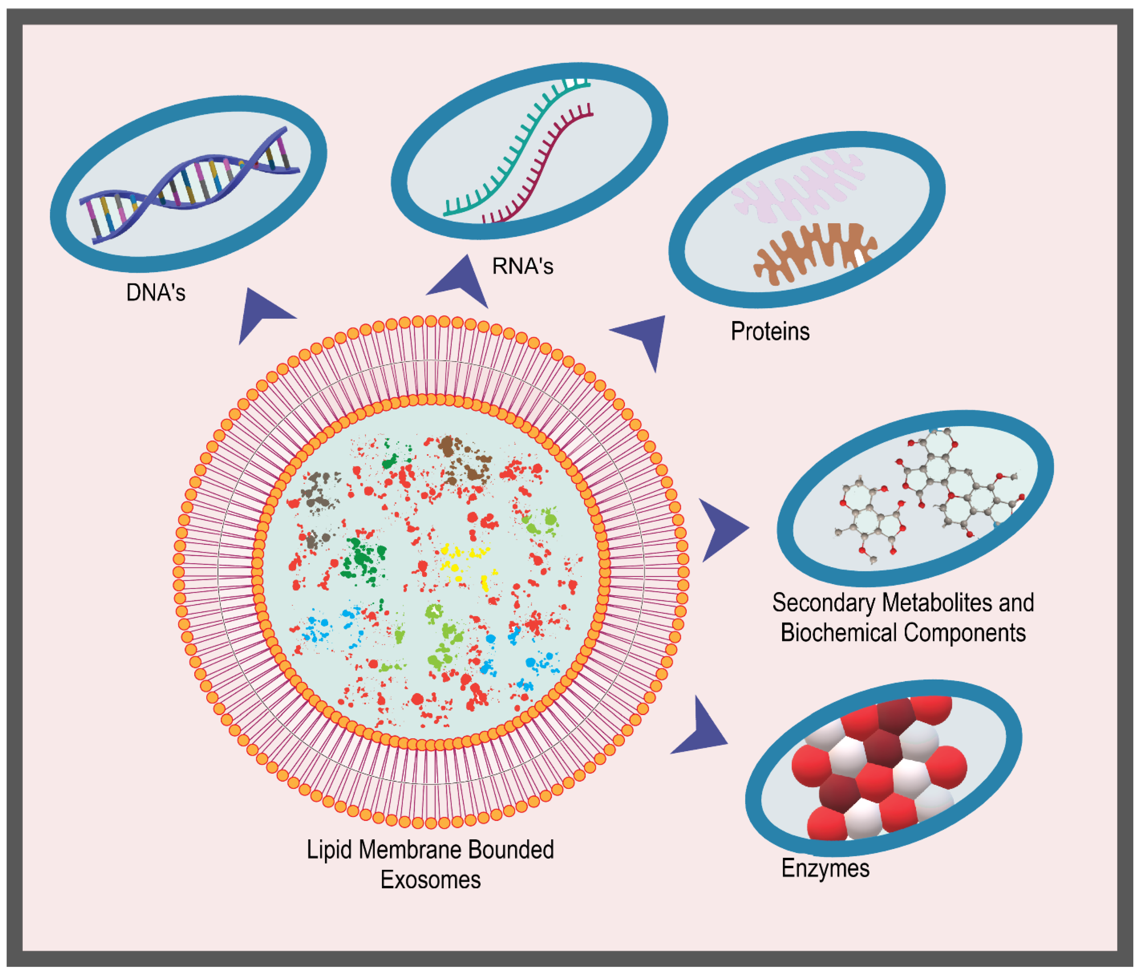 Preprints 113254 g003