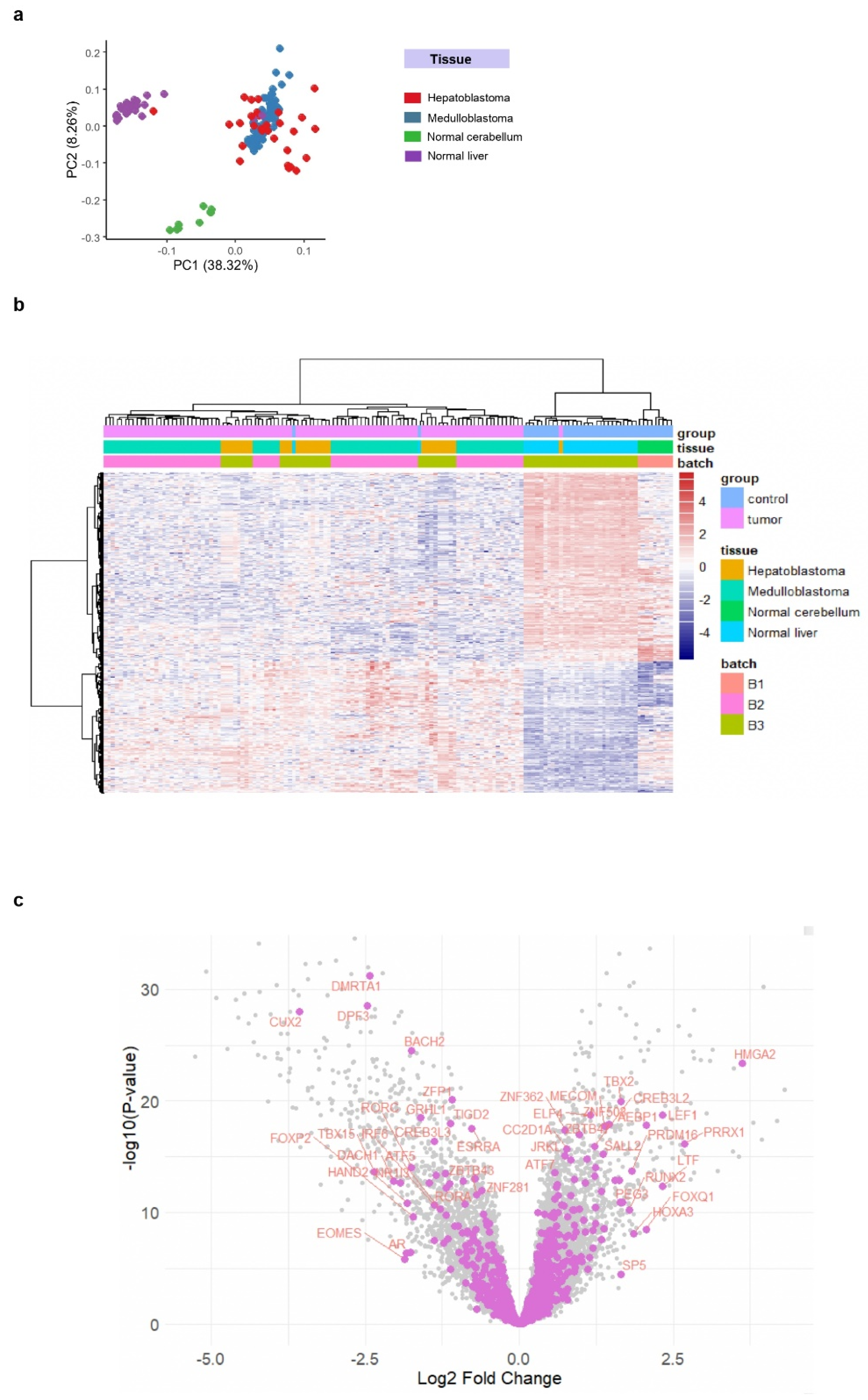 Preprints 141997 g001