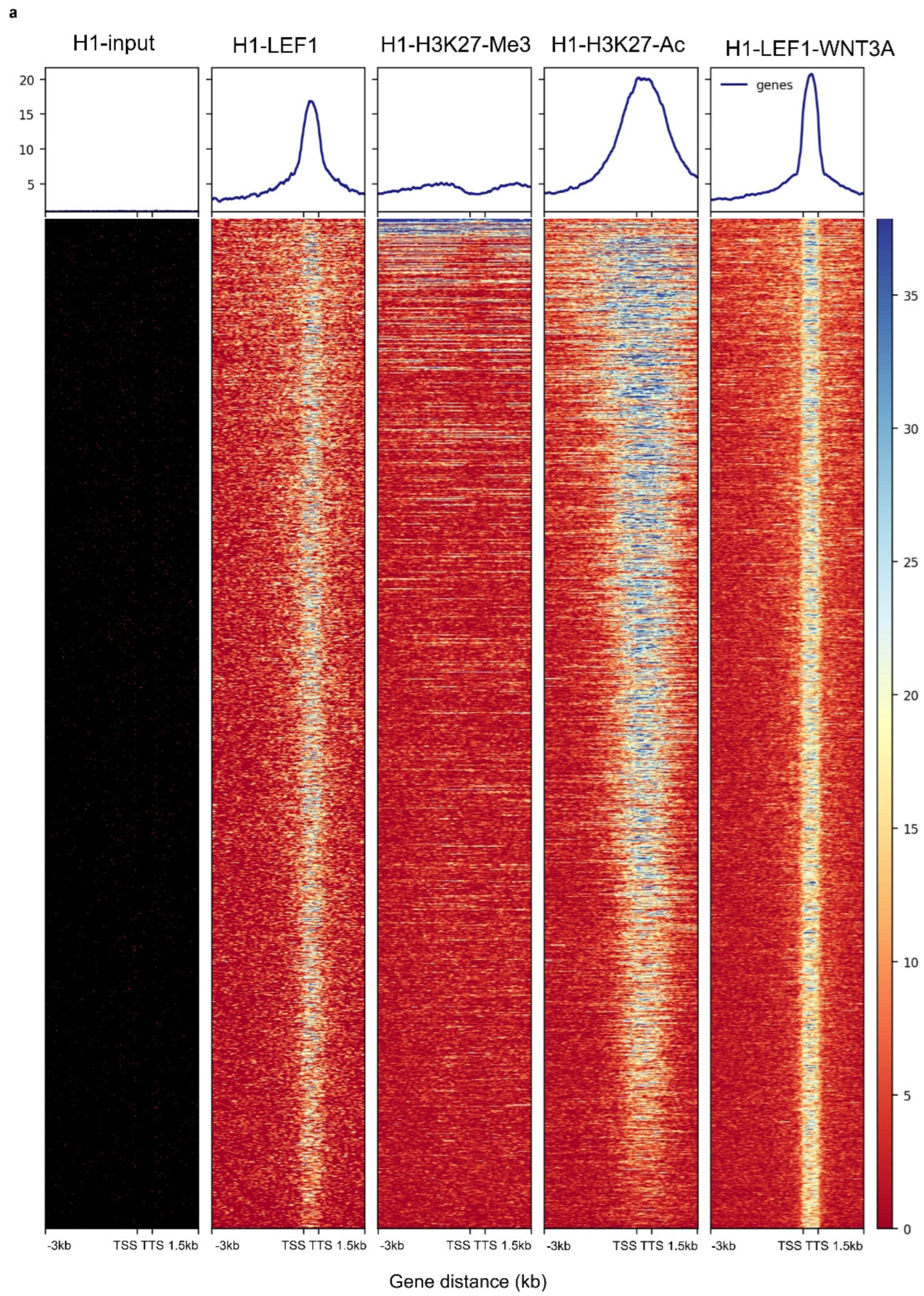 Preprints 141997 g002