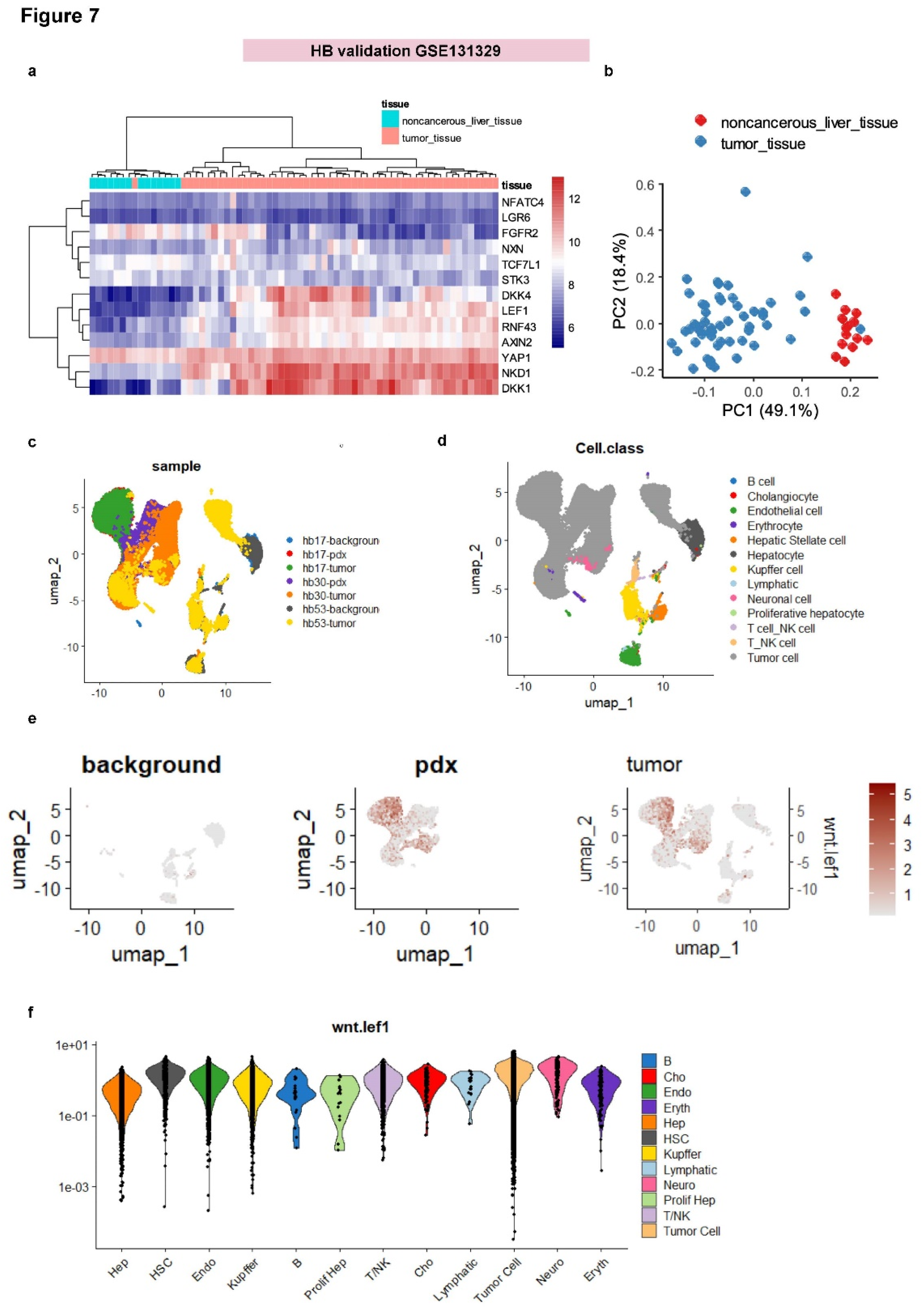 Preprints 141997 g007