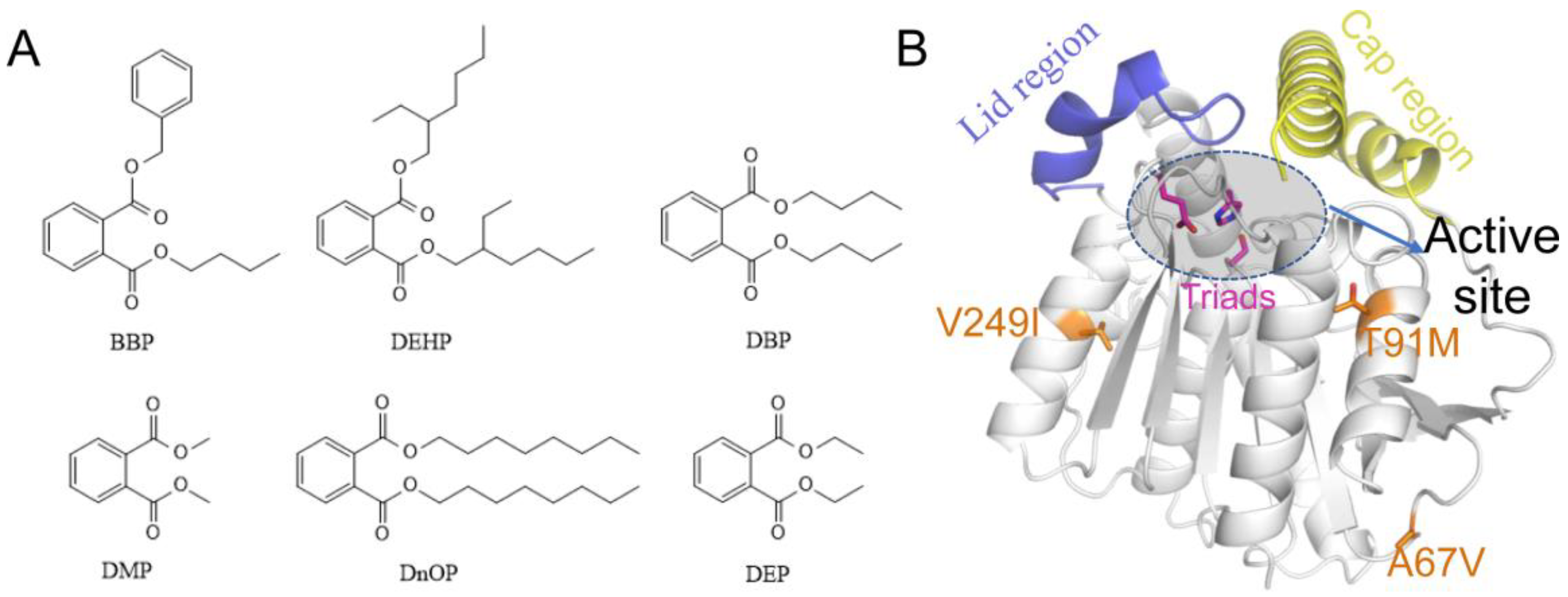 Preprints 68653 g001