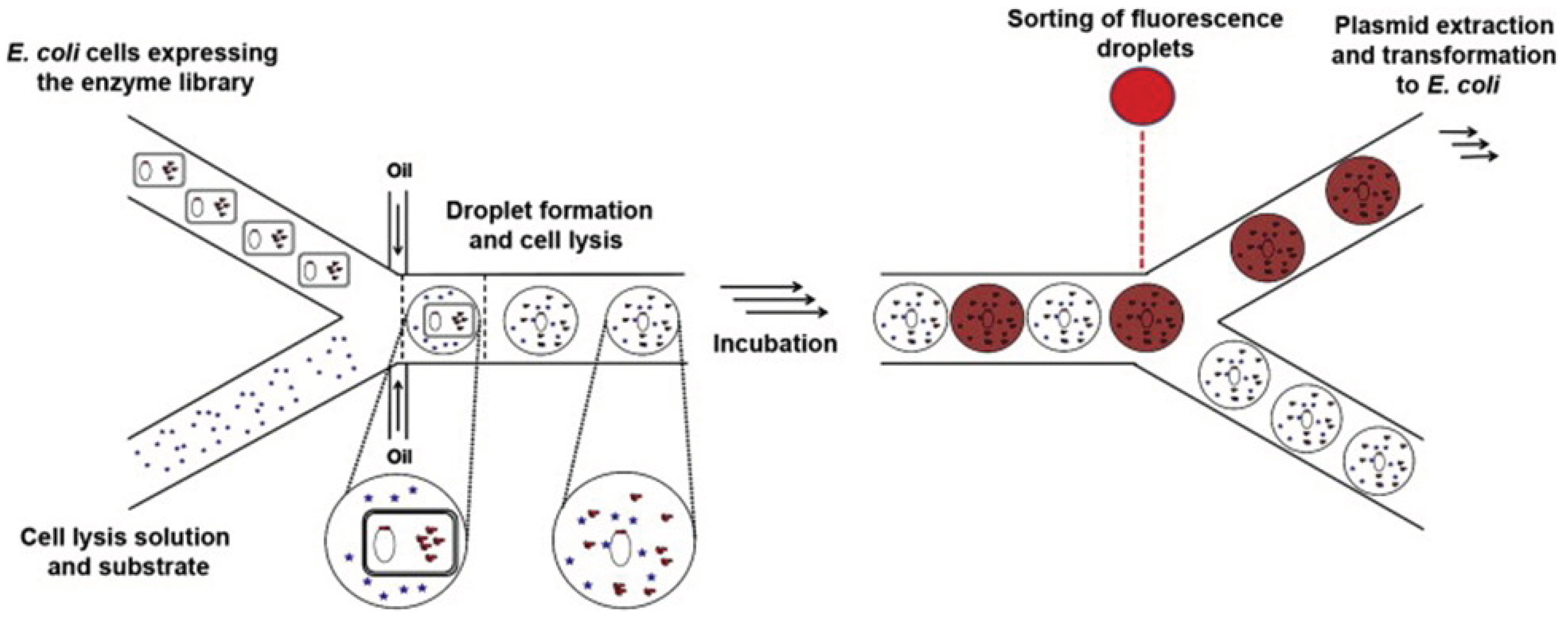 Preprints 99760 g009