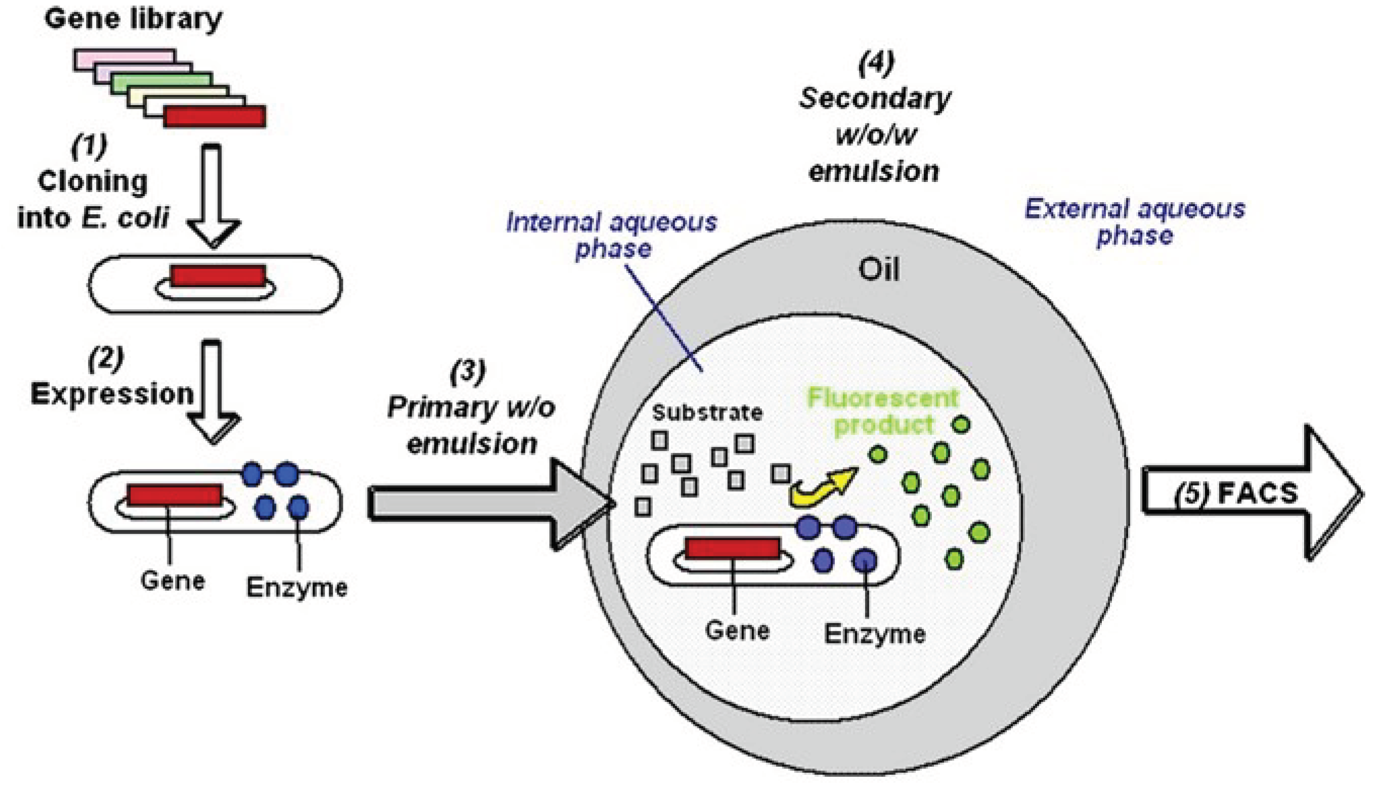 Preprints 99760 g010