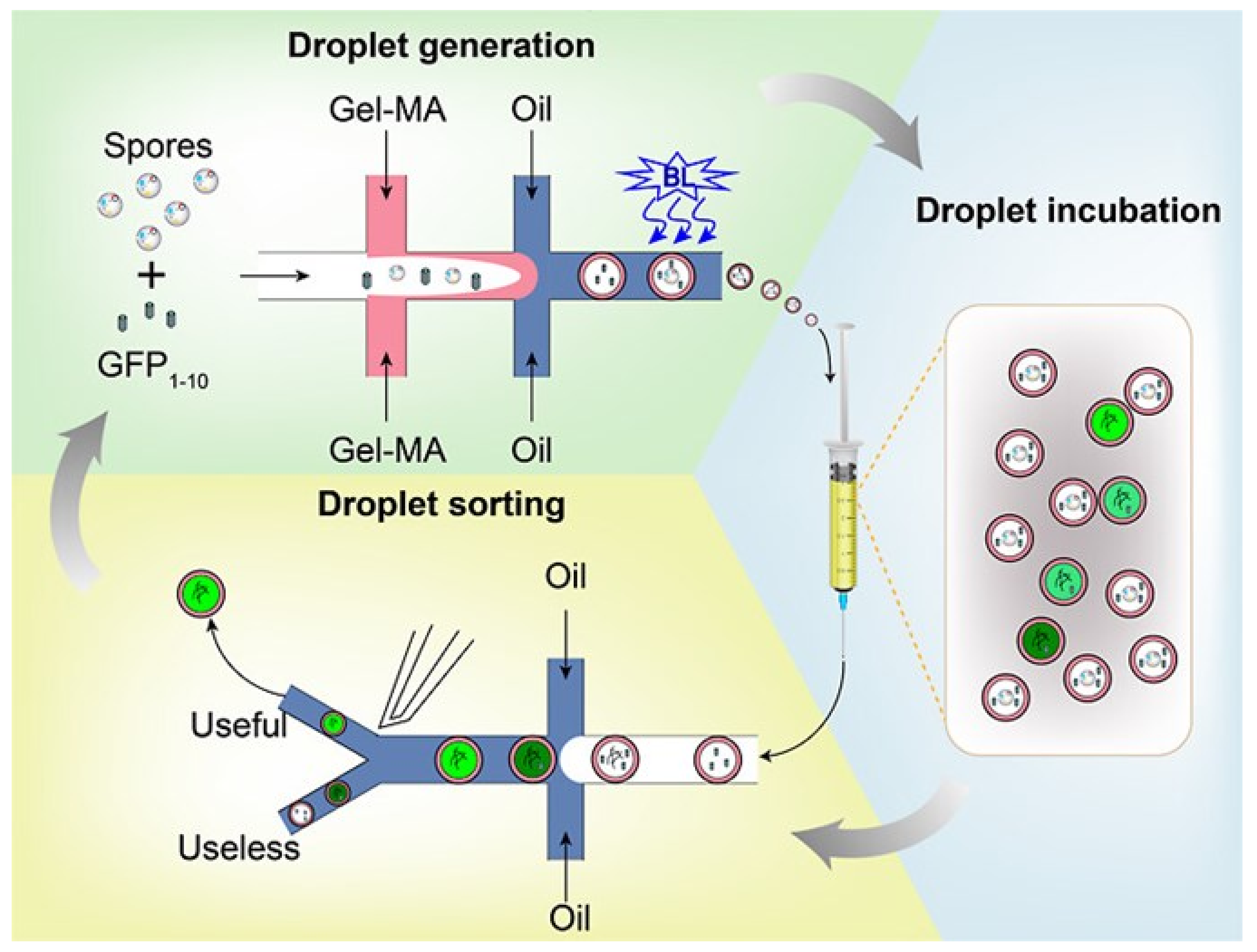 Preprints 99760 g011