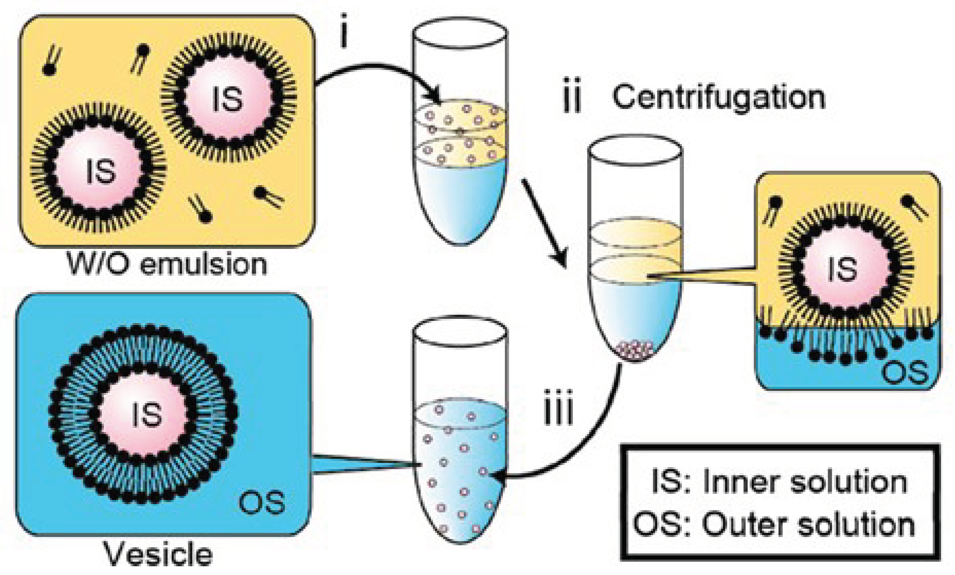 Preprints 99760 g012