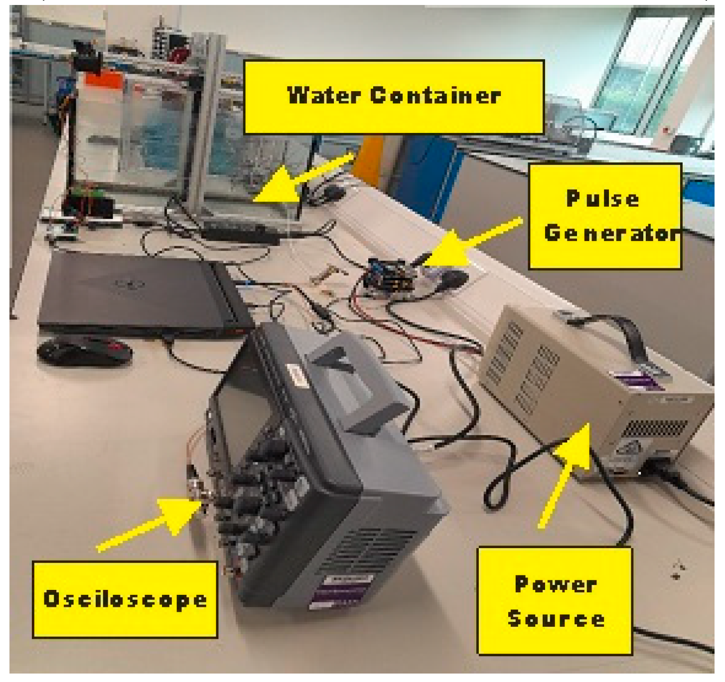 Preprints 121495 g002