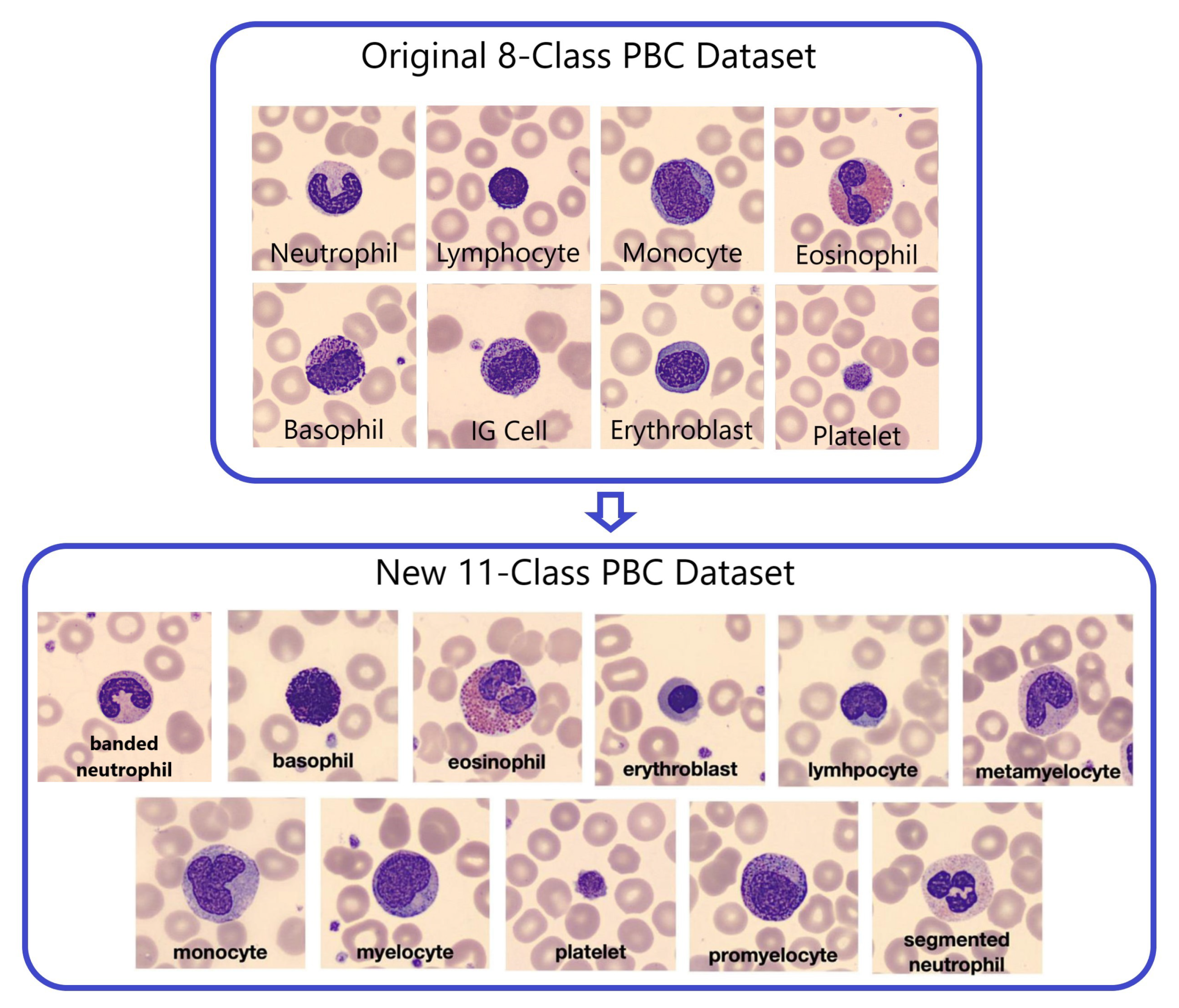 Preprints 90407 g003