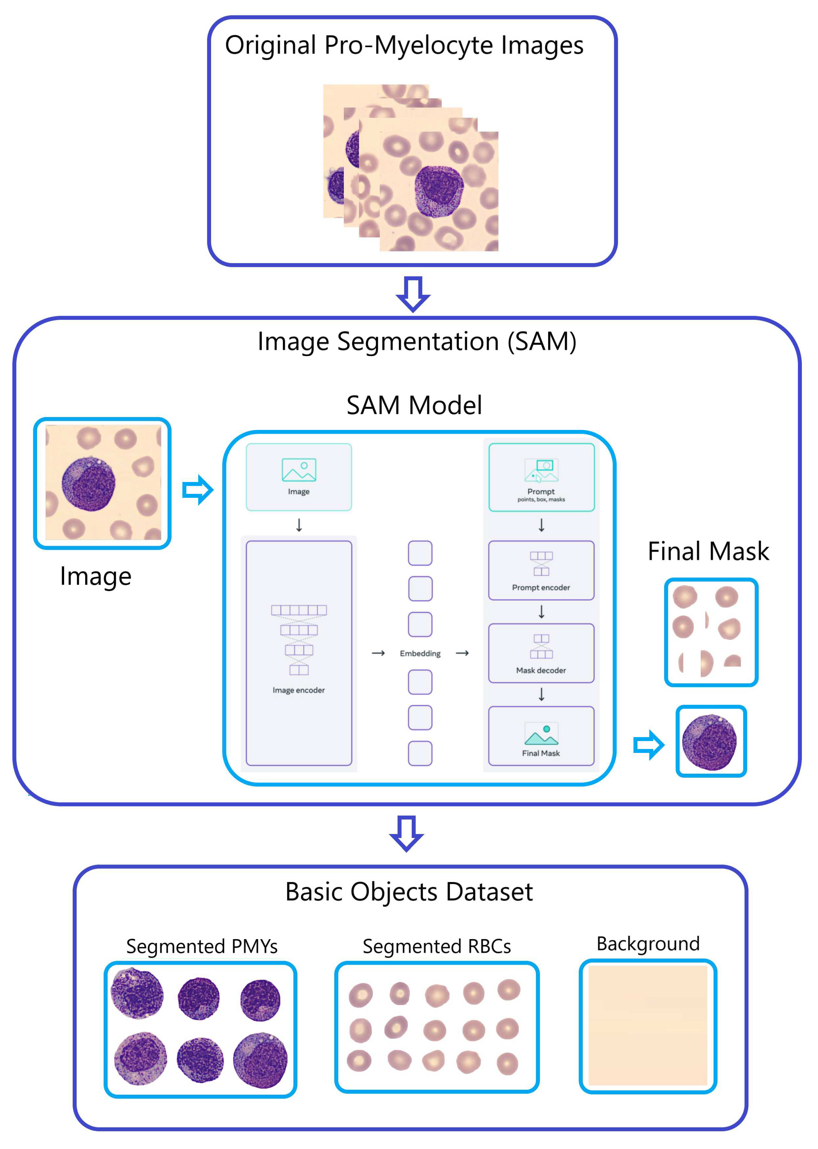 Preprints 90407 g005