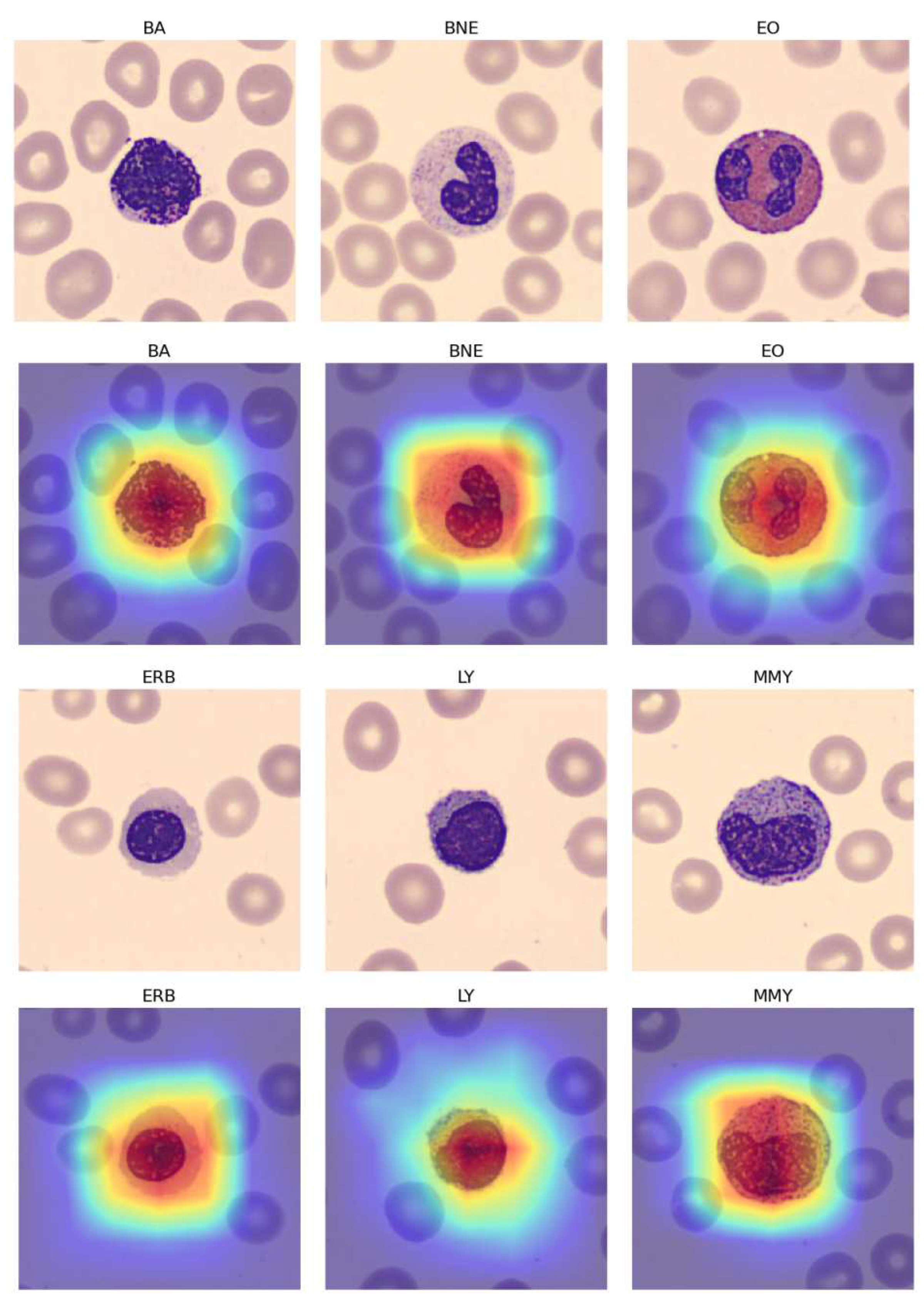 Preprints 90407 g011