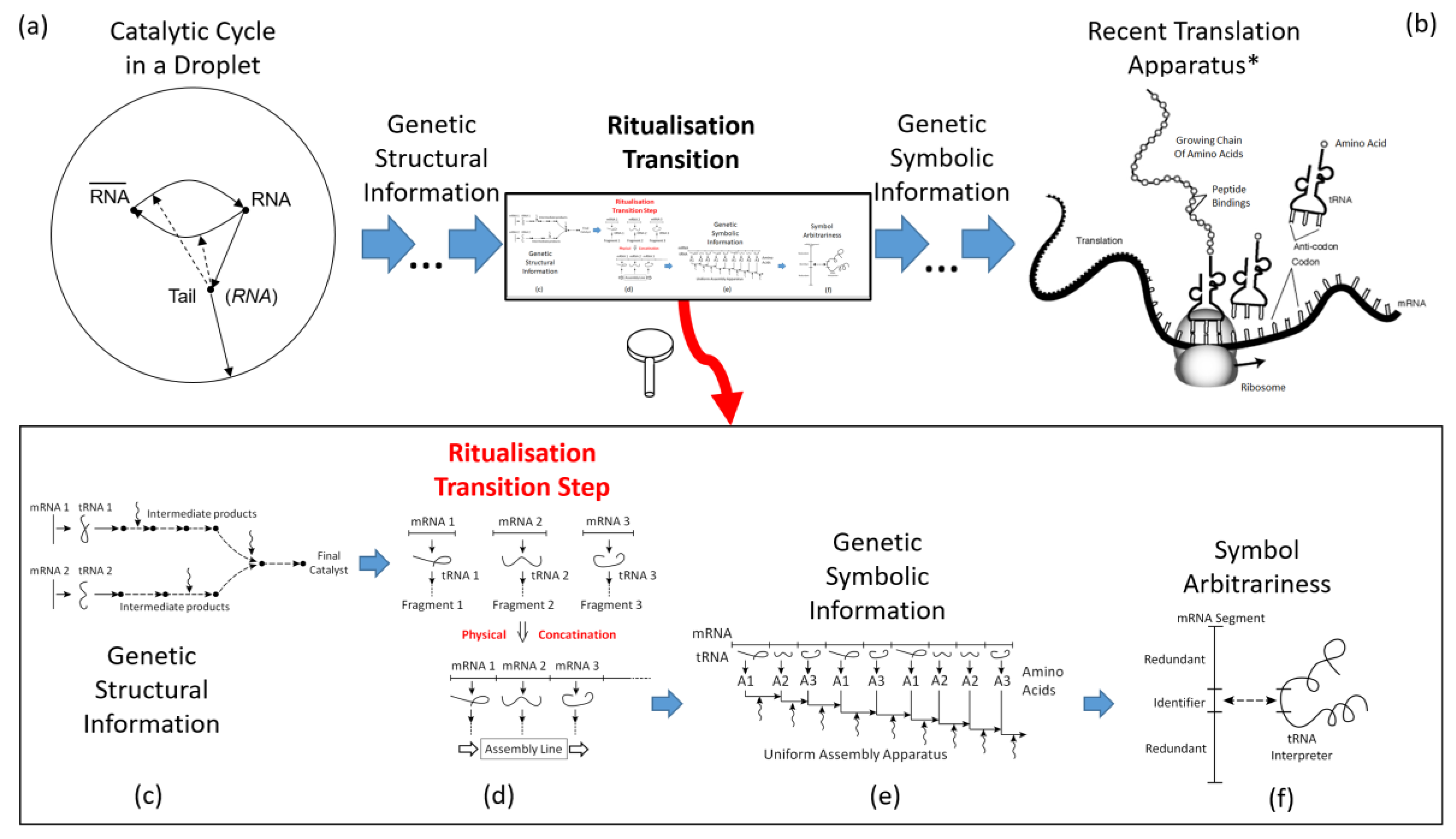 Preprints 137560 g005