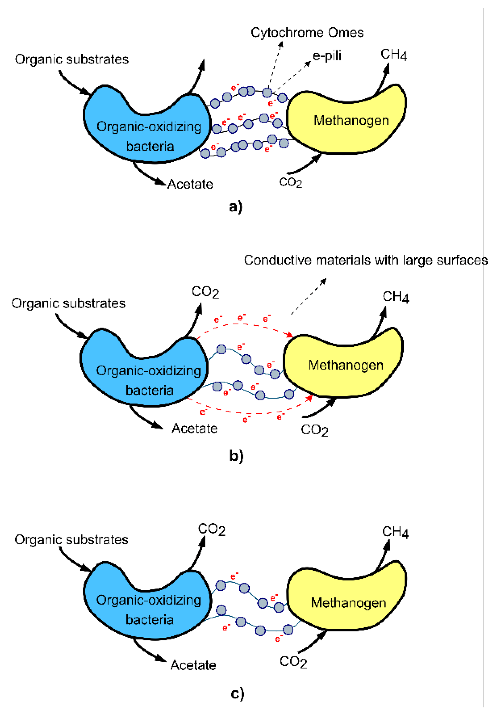 Preprints 113846 g004