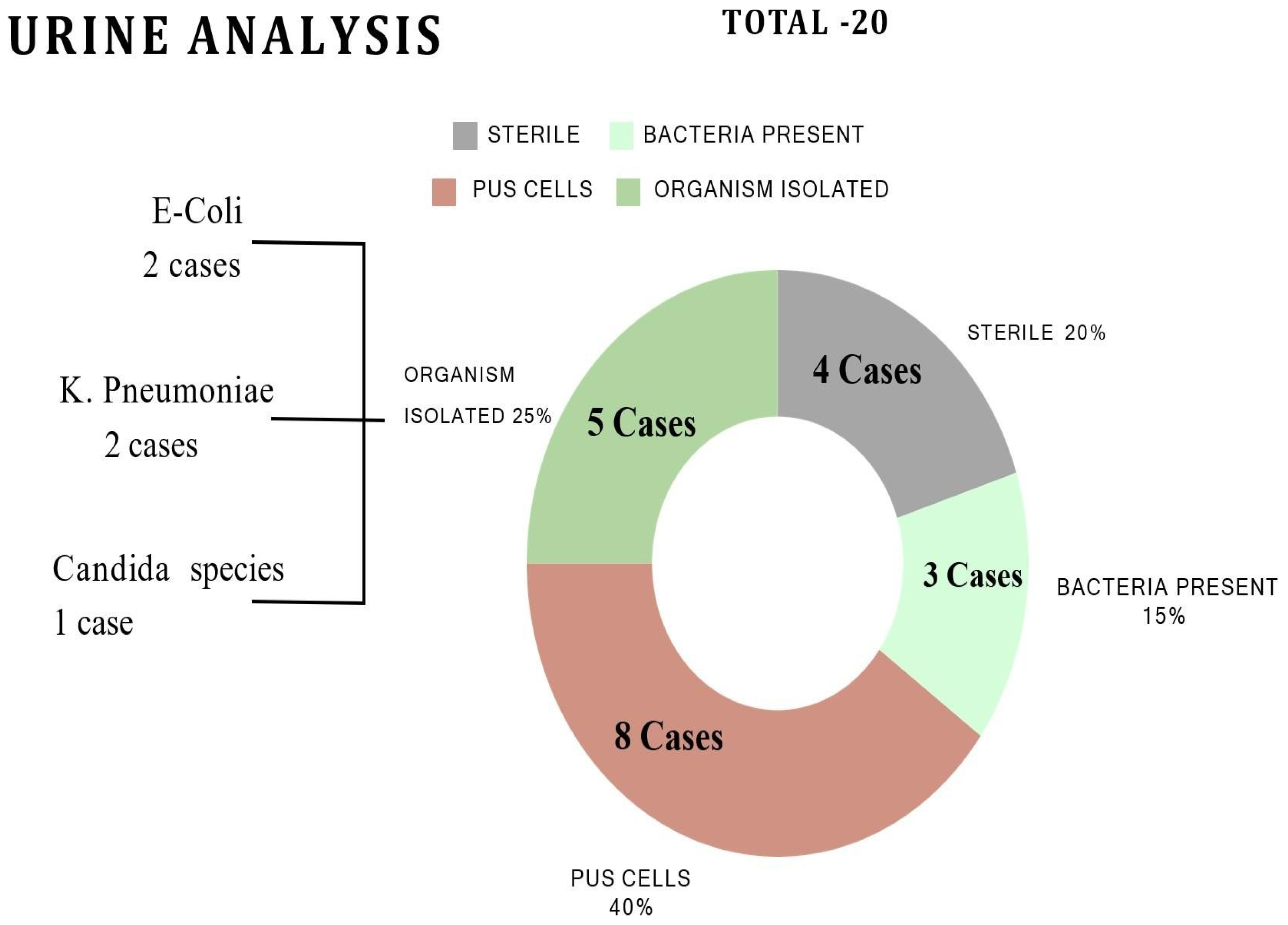 Preprints 138404 g001