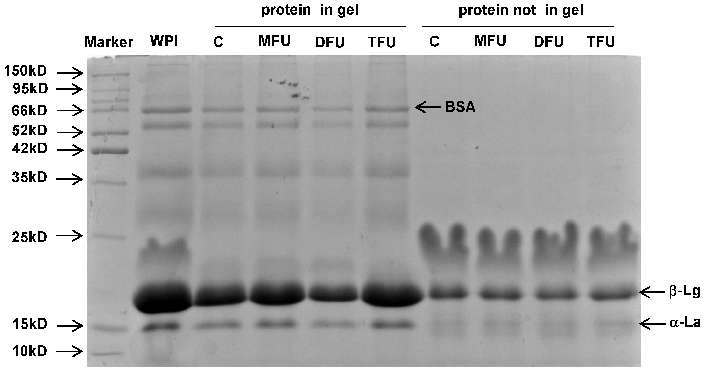 Preprints 107274 g003