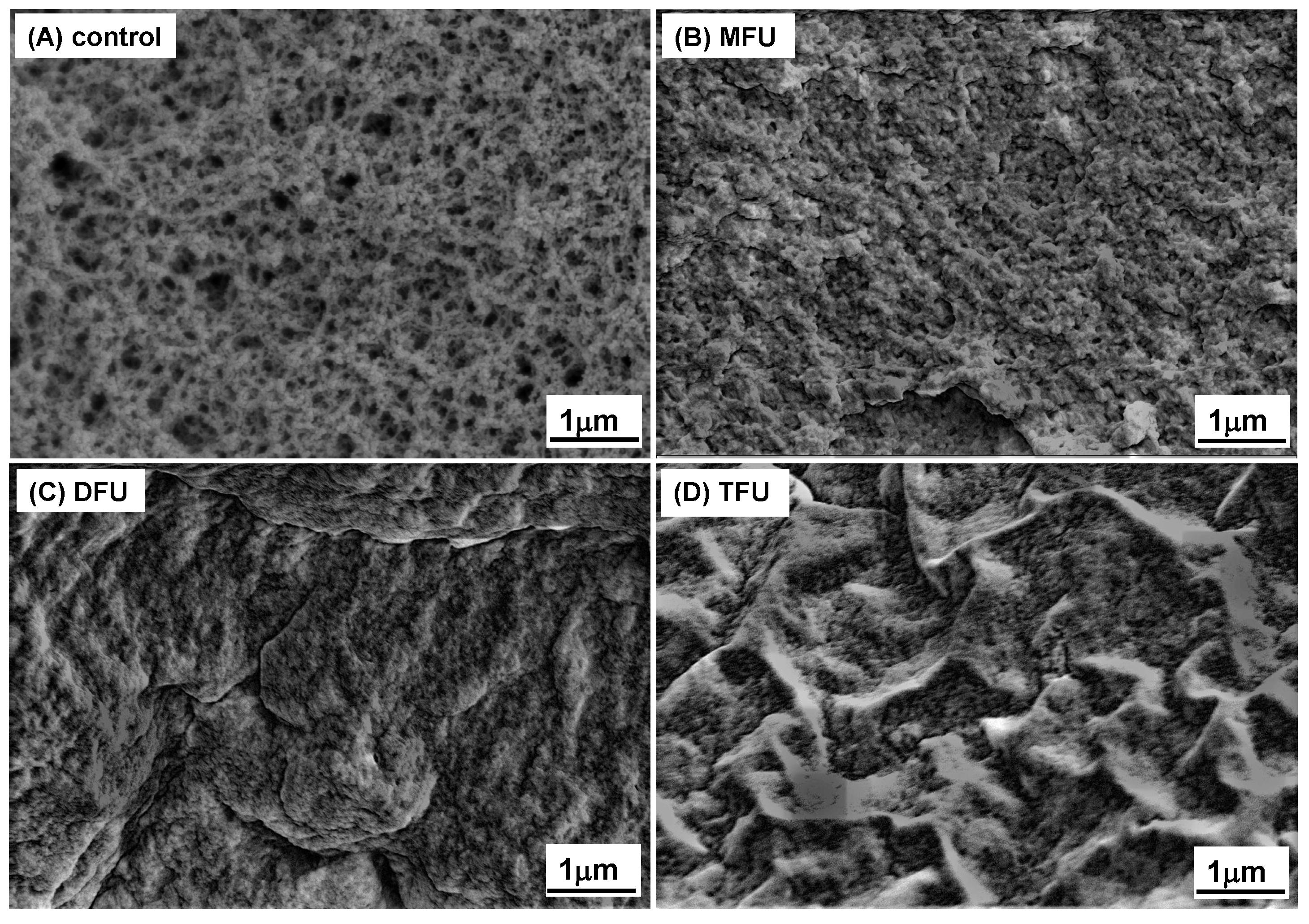 Preprints 107274 g005