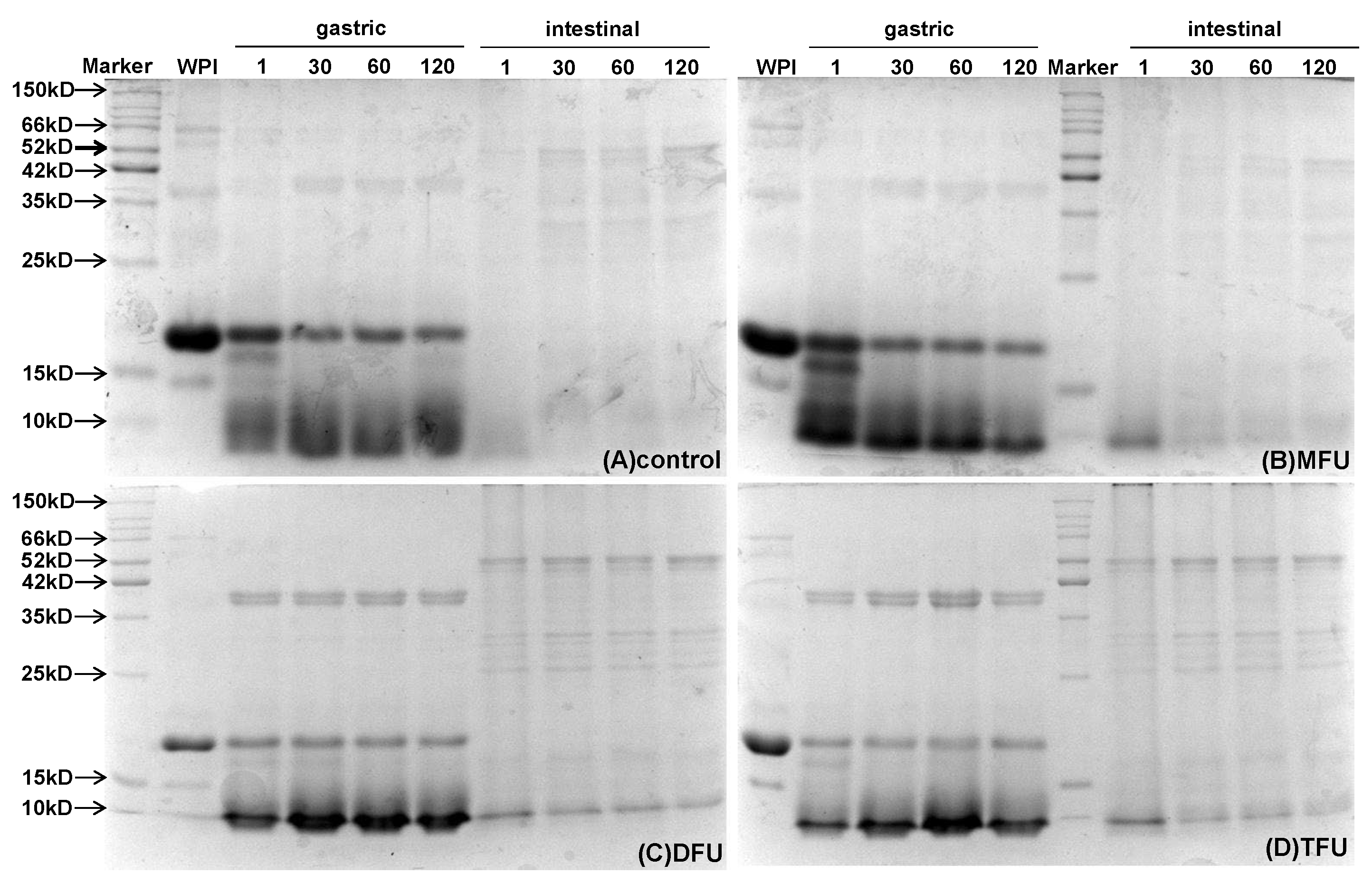 Preprints 107274 g007