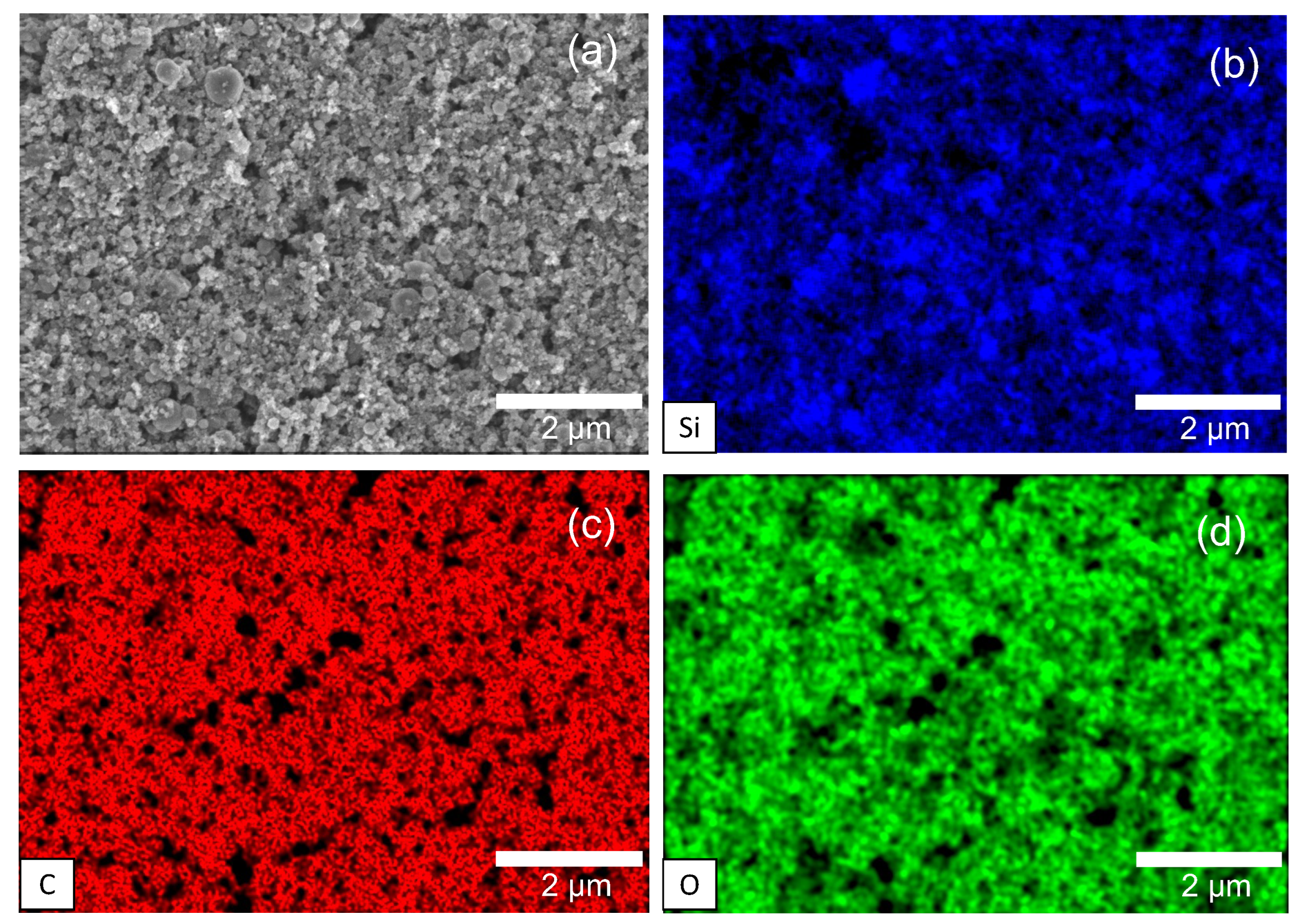 Preprints 102444 g005