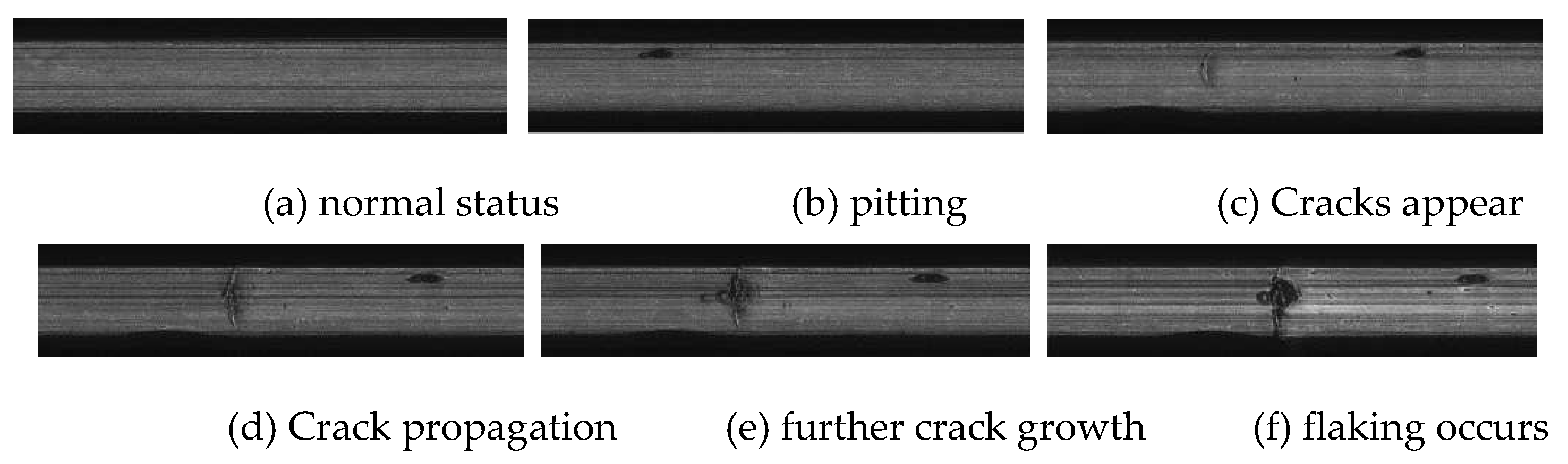 Preprints 78517 g022