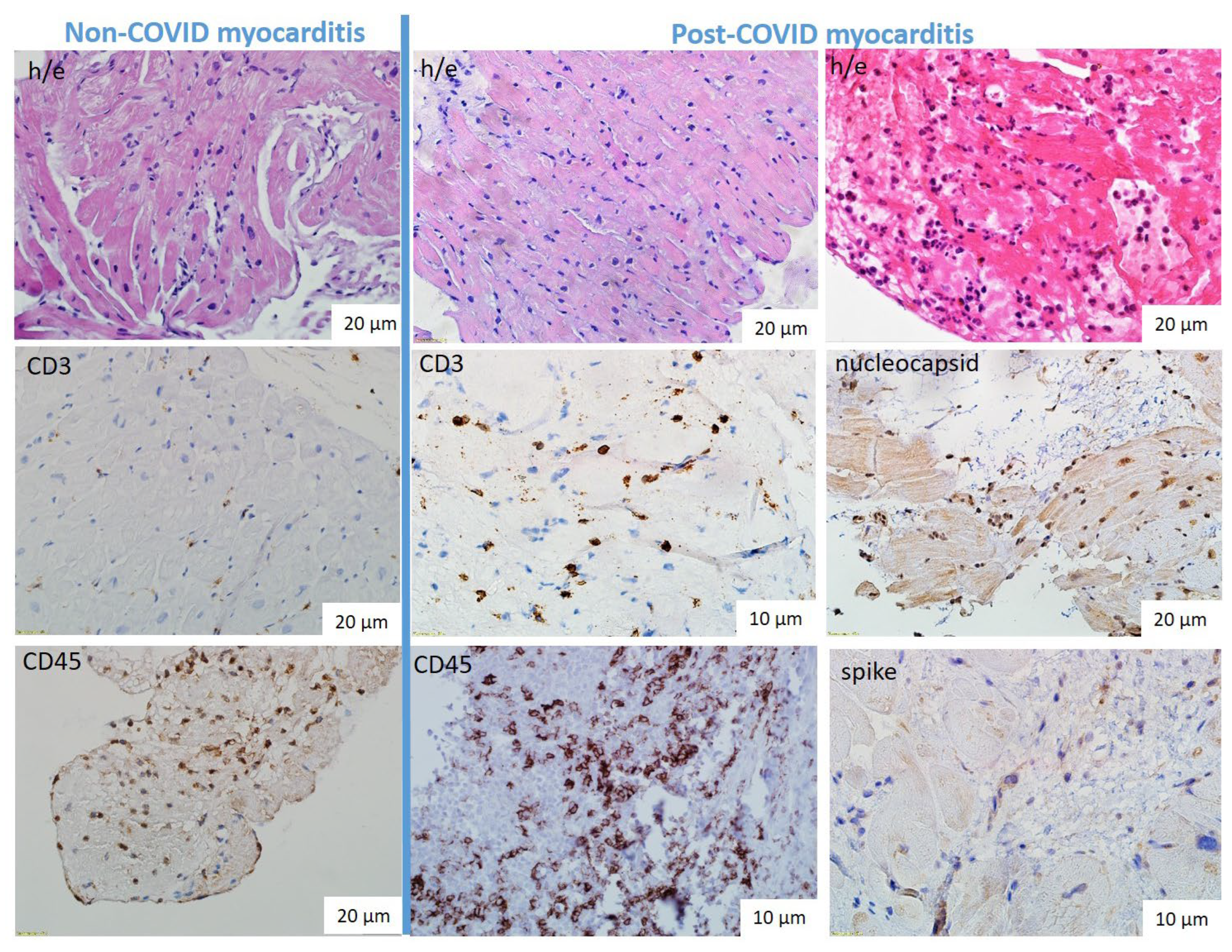 Preprints 112584 g002