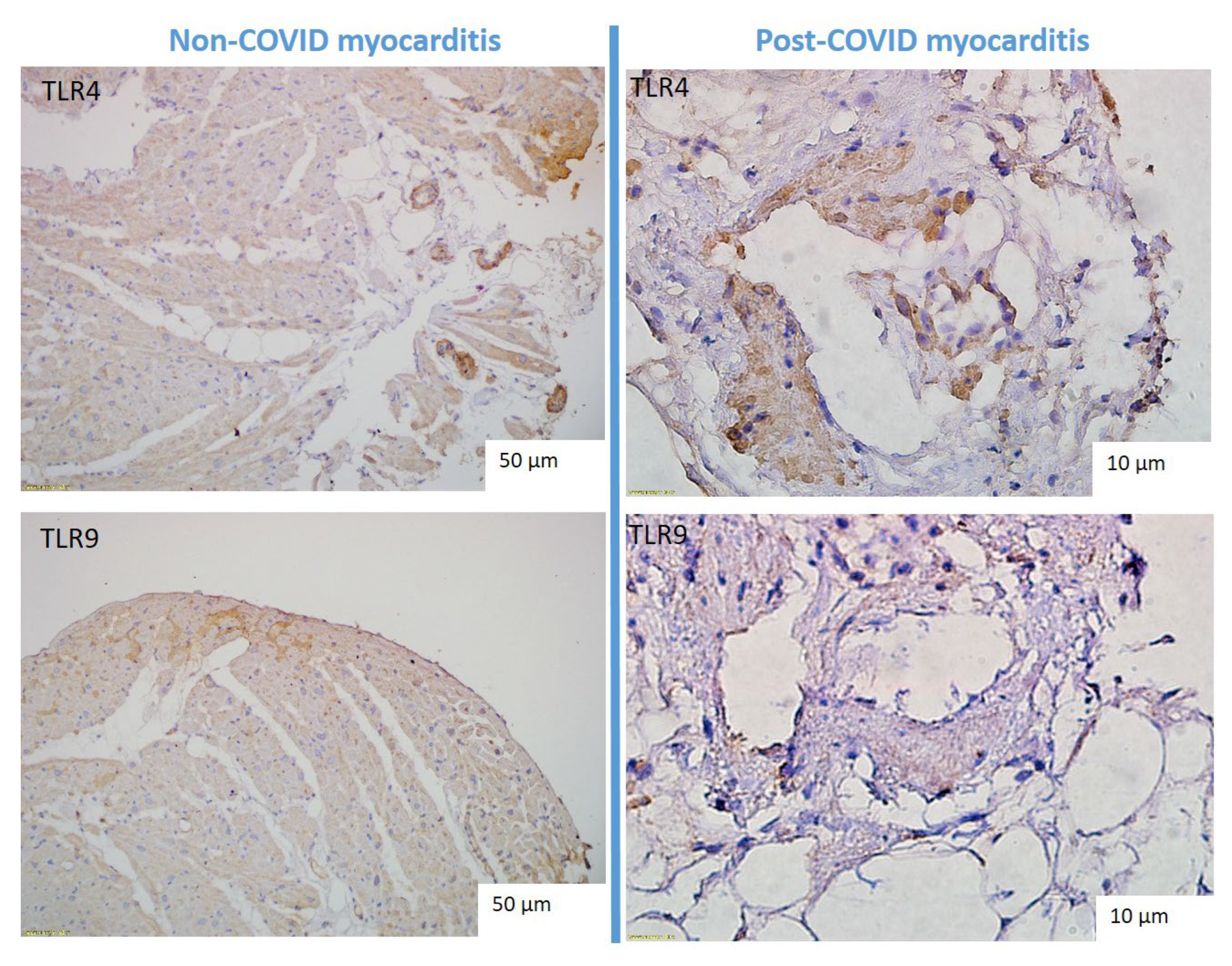 Preprints 112584 g004