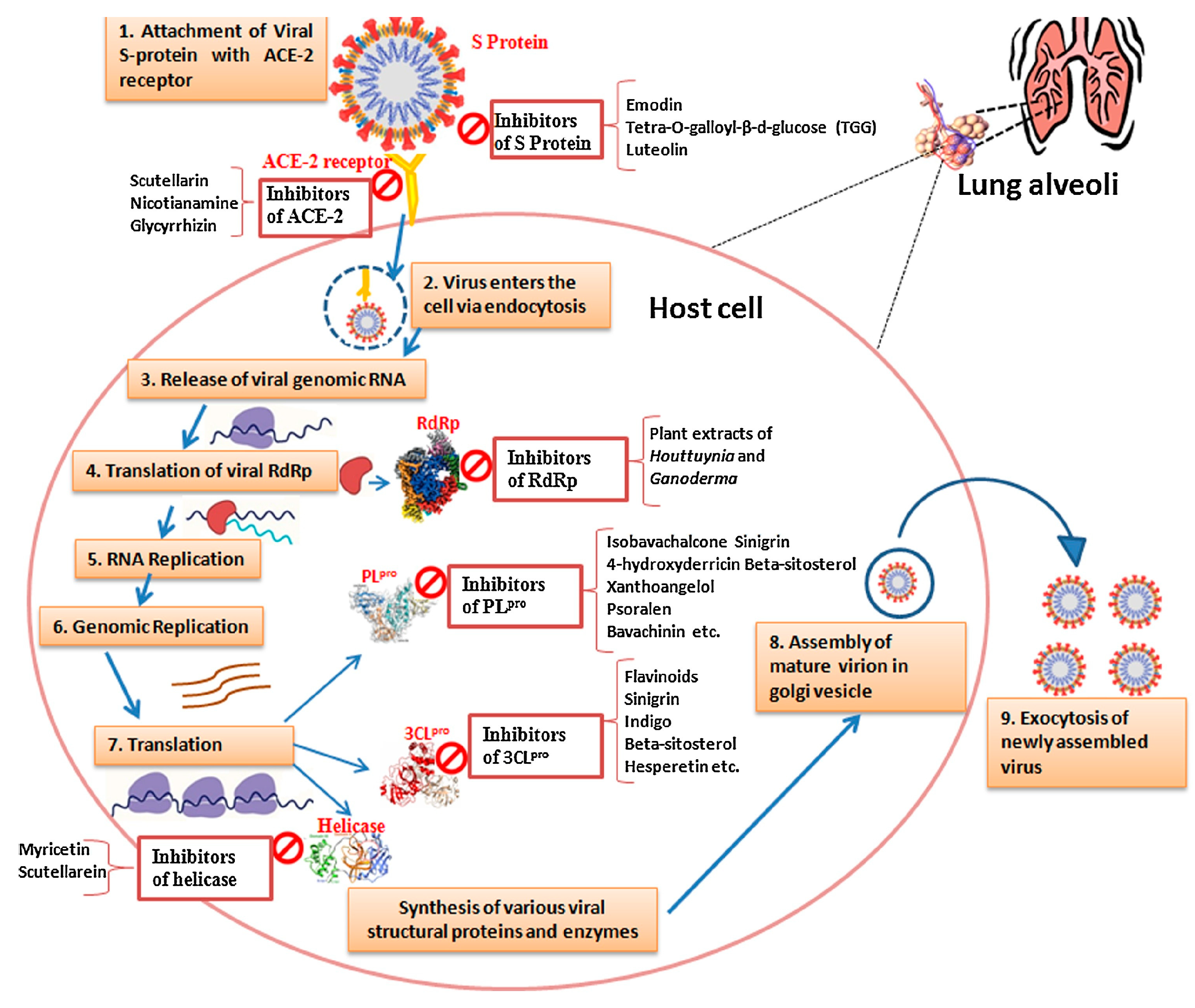 Preprints 89844 g001