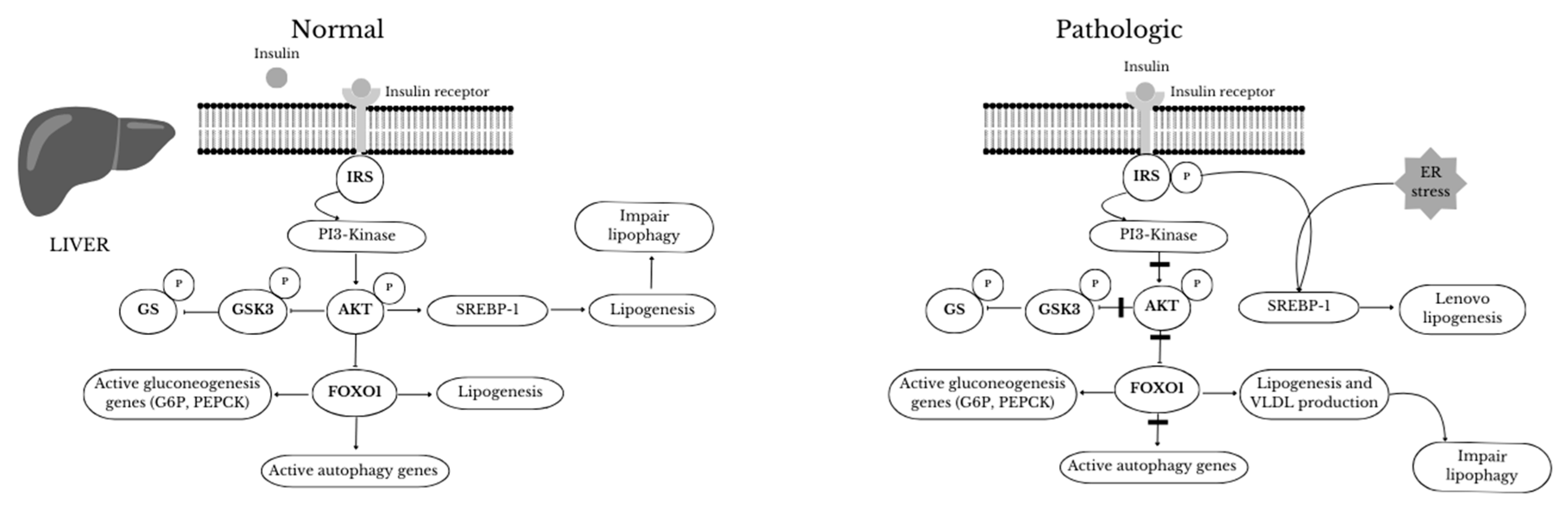 Preprints 119377 g003