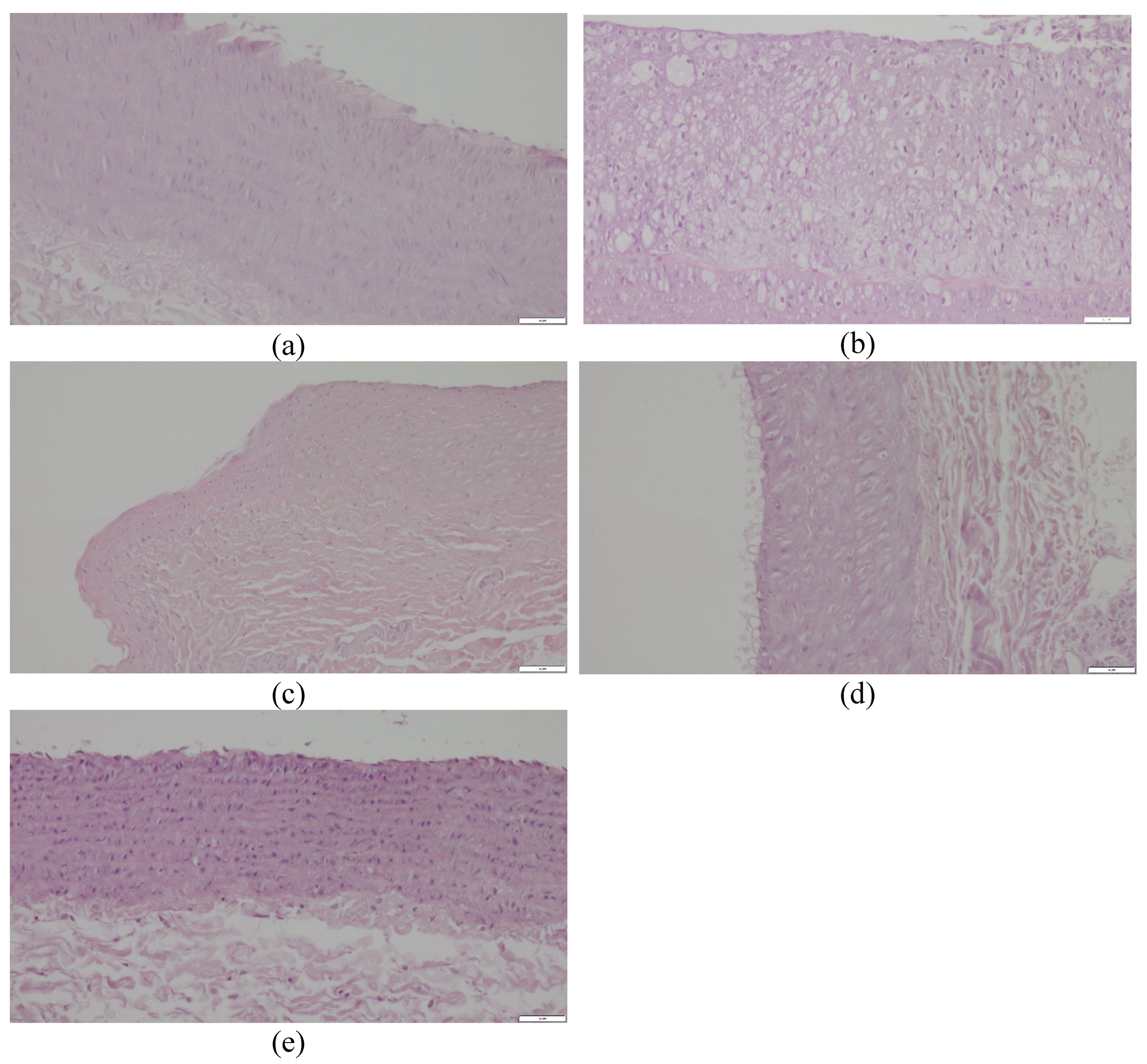 Preprints 94434 g004