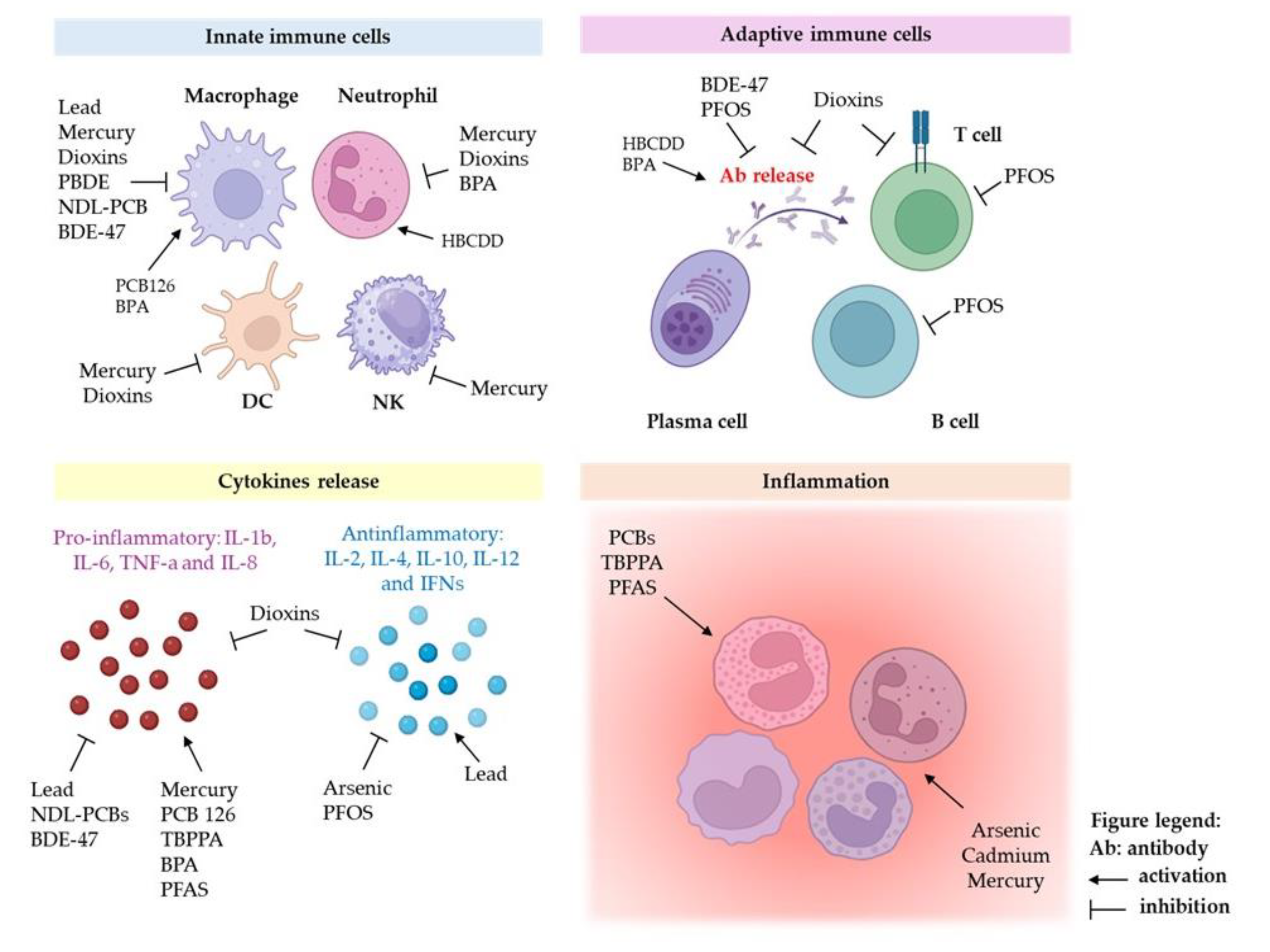 Preprints 109984 g002