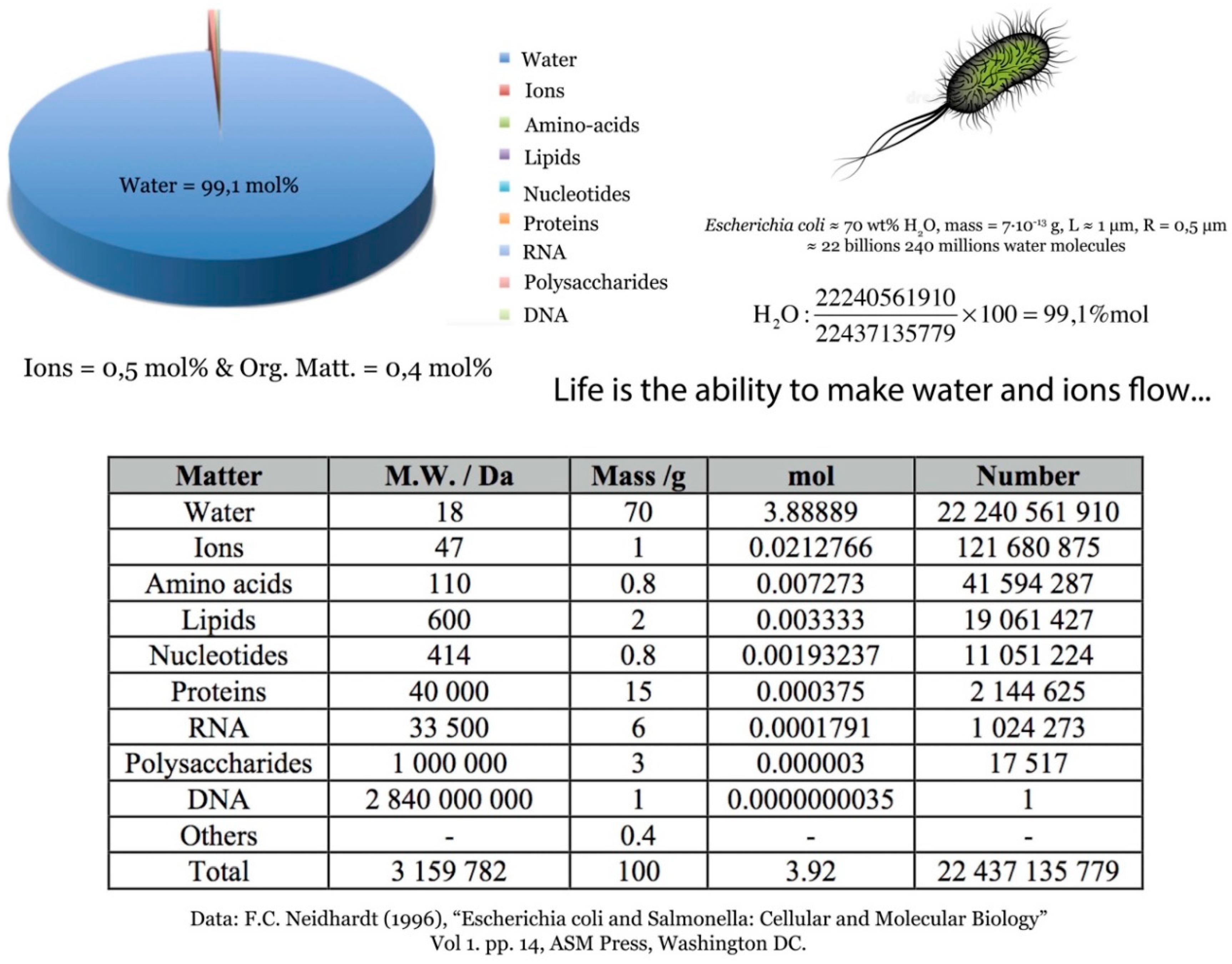 Preprints 96505 g013