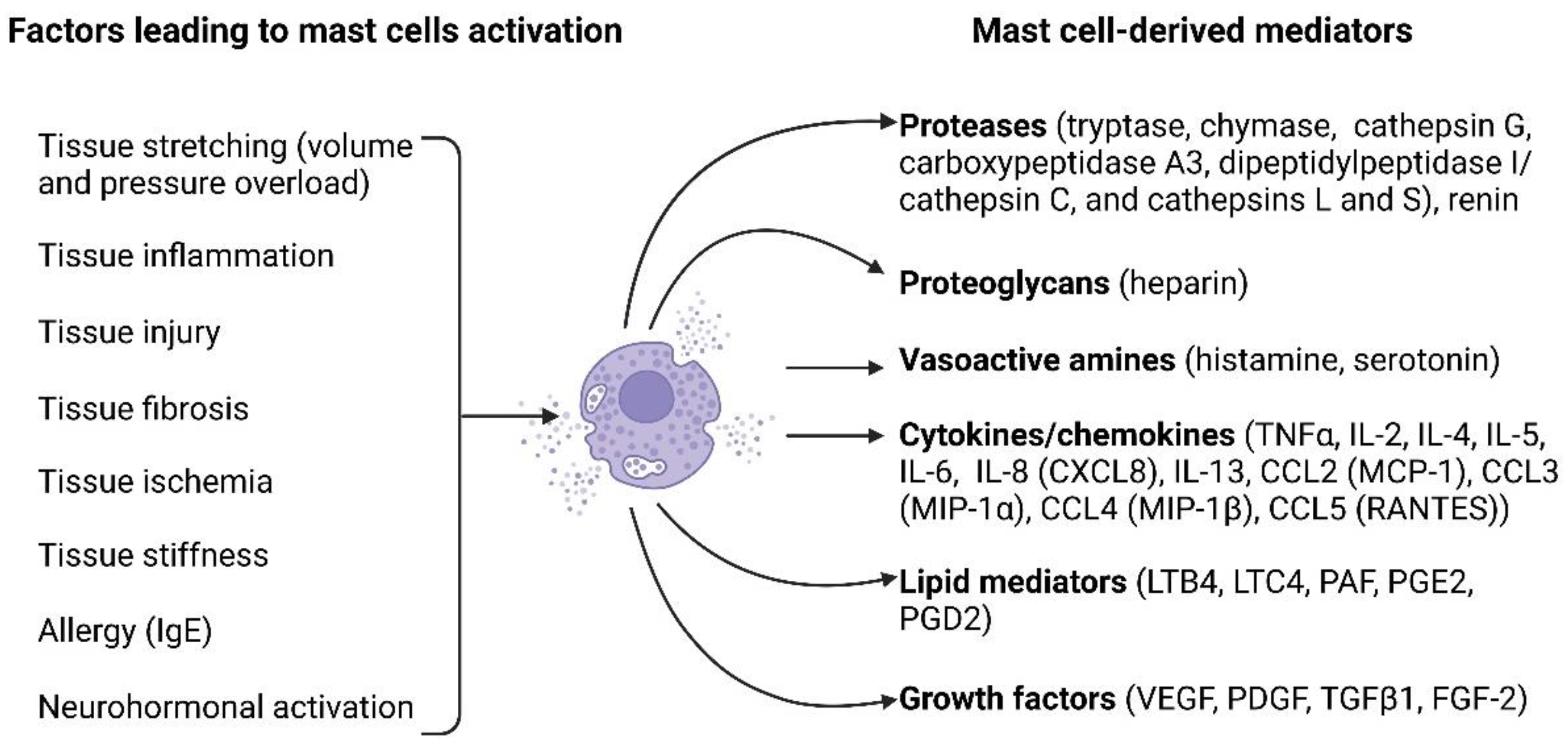 Preprints 93450 g001