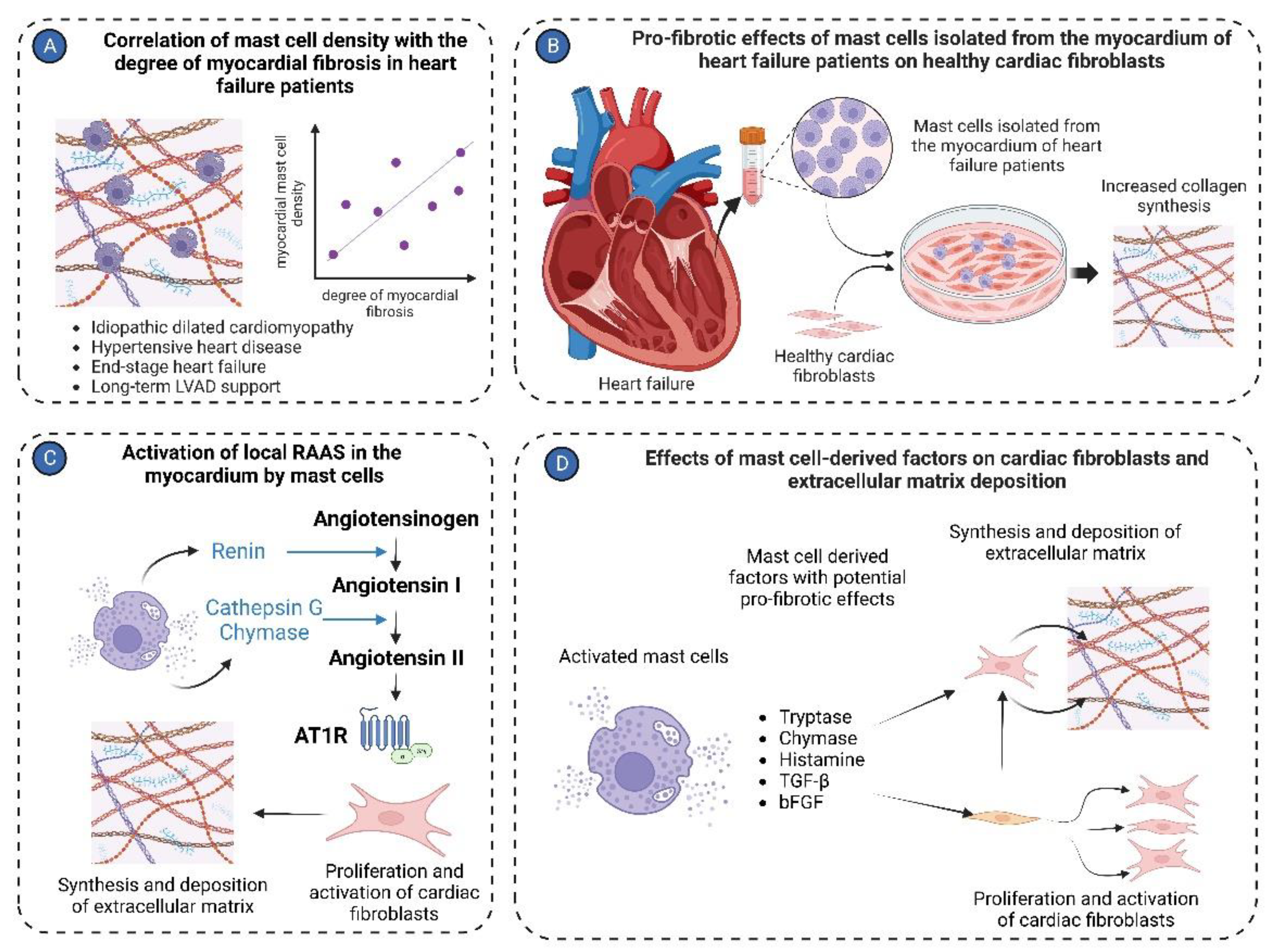 Preprints 93450 g003