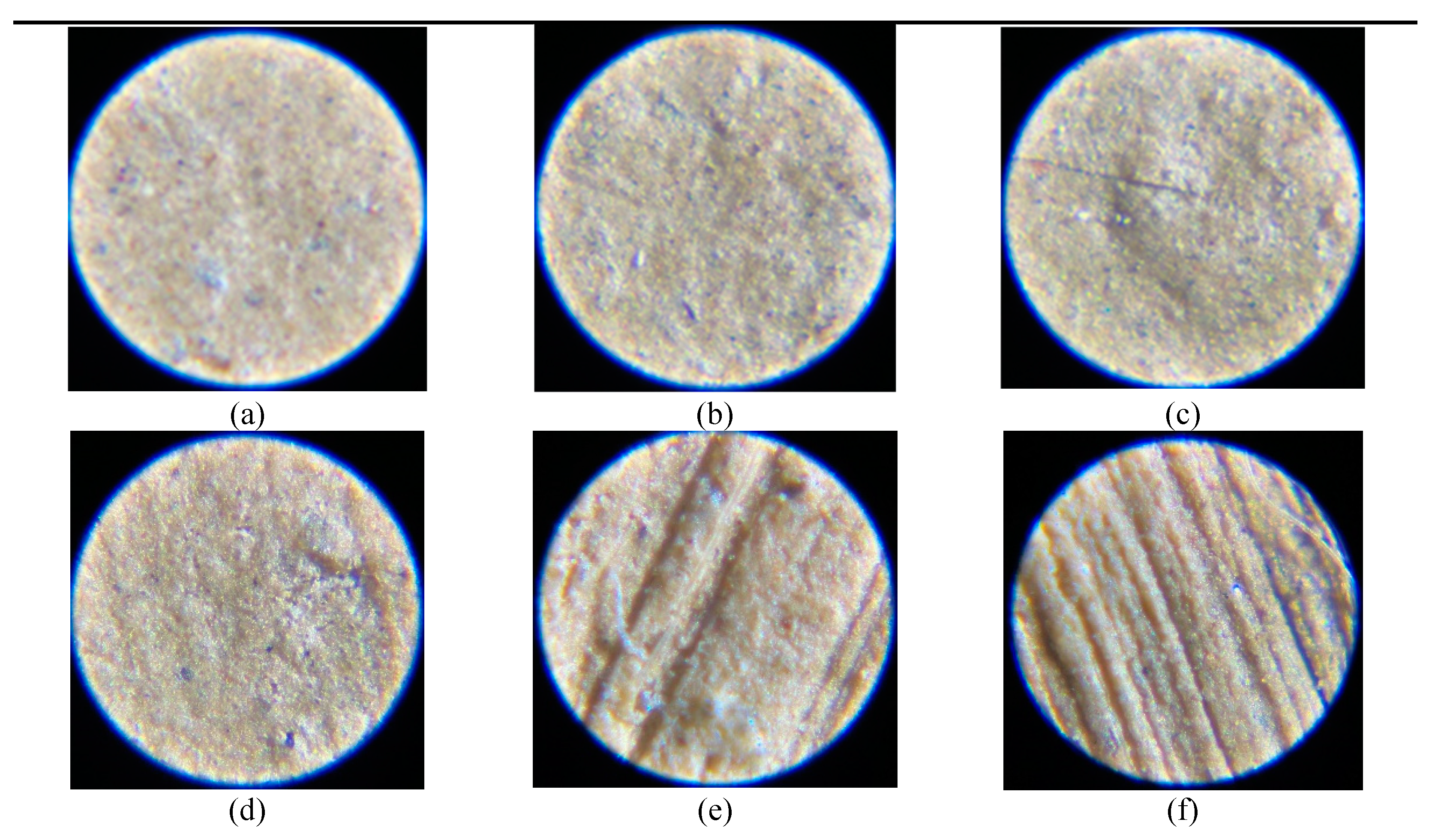 Preprints 90936 g010