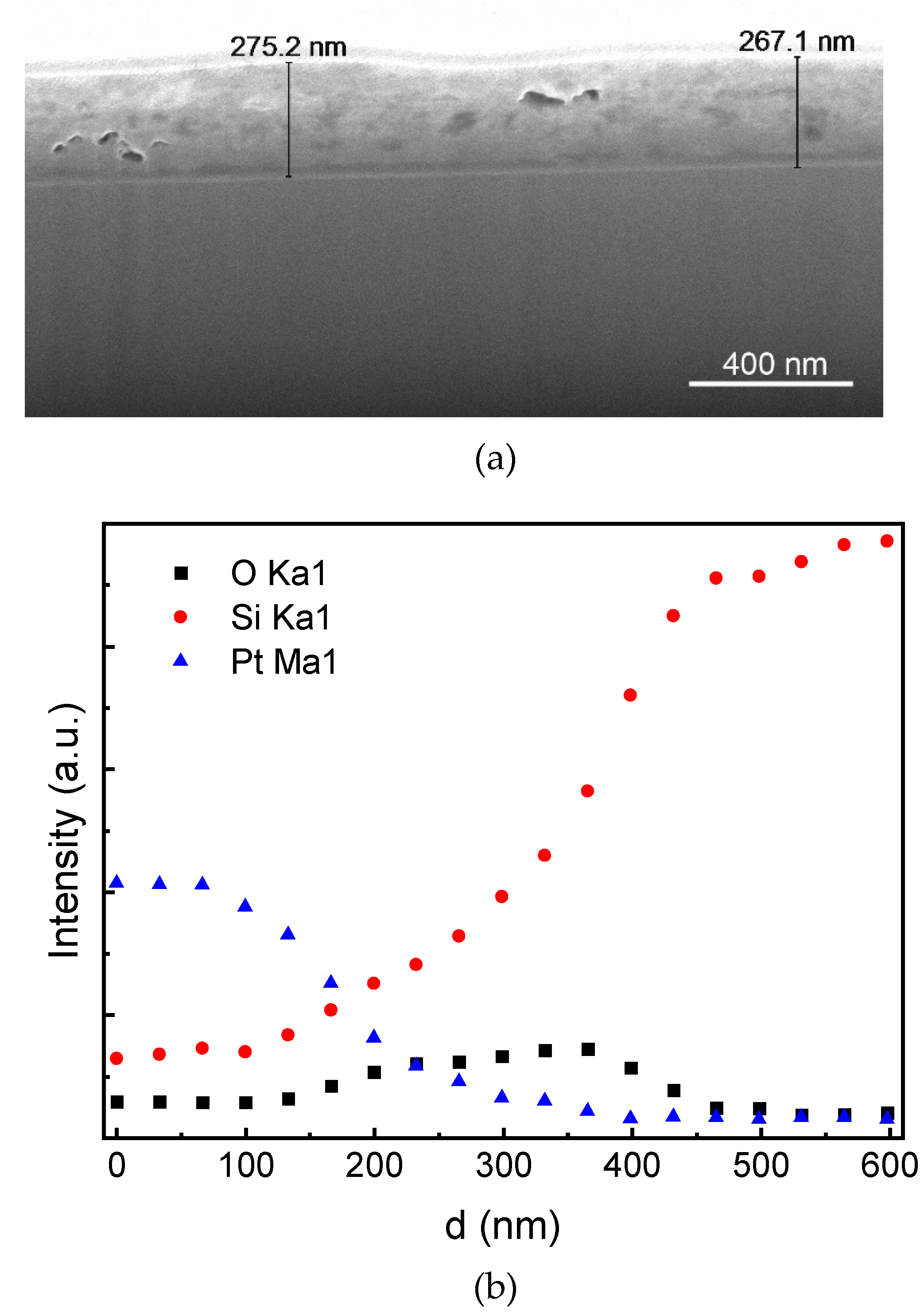 Preprints 74696 g003