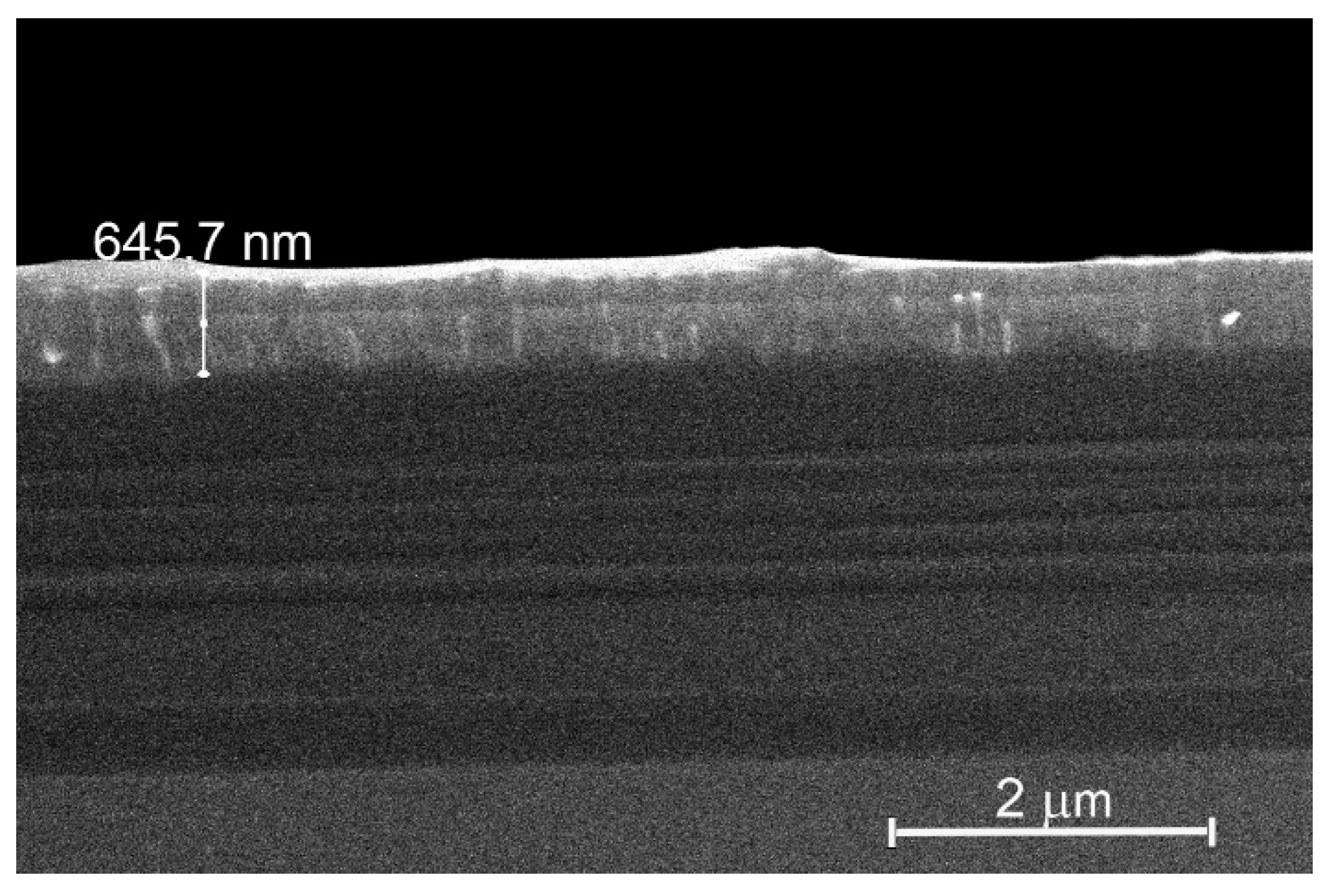 Preprints 74696 g005