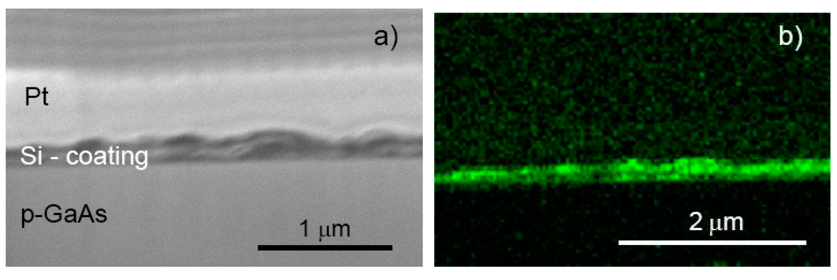 Preprints 74696 g007