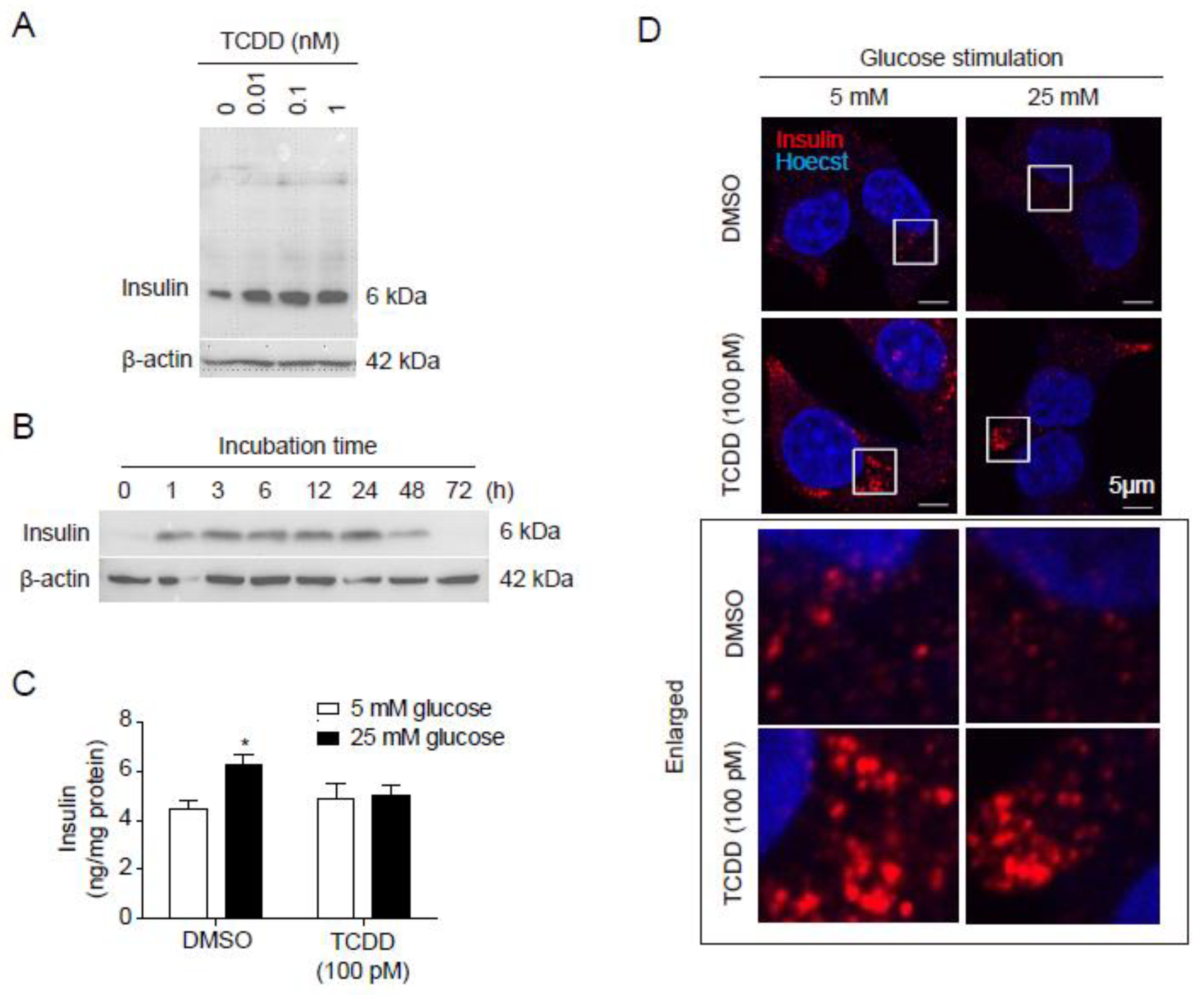 Preprints 121284 g001