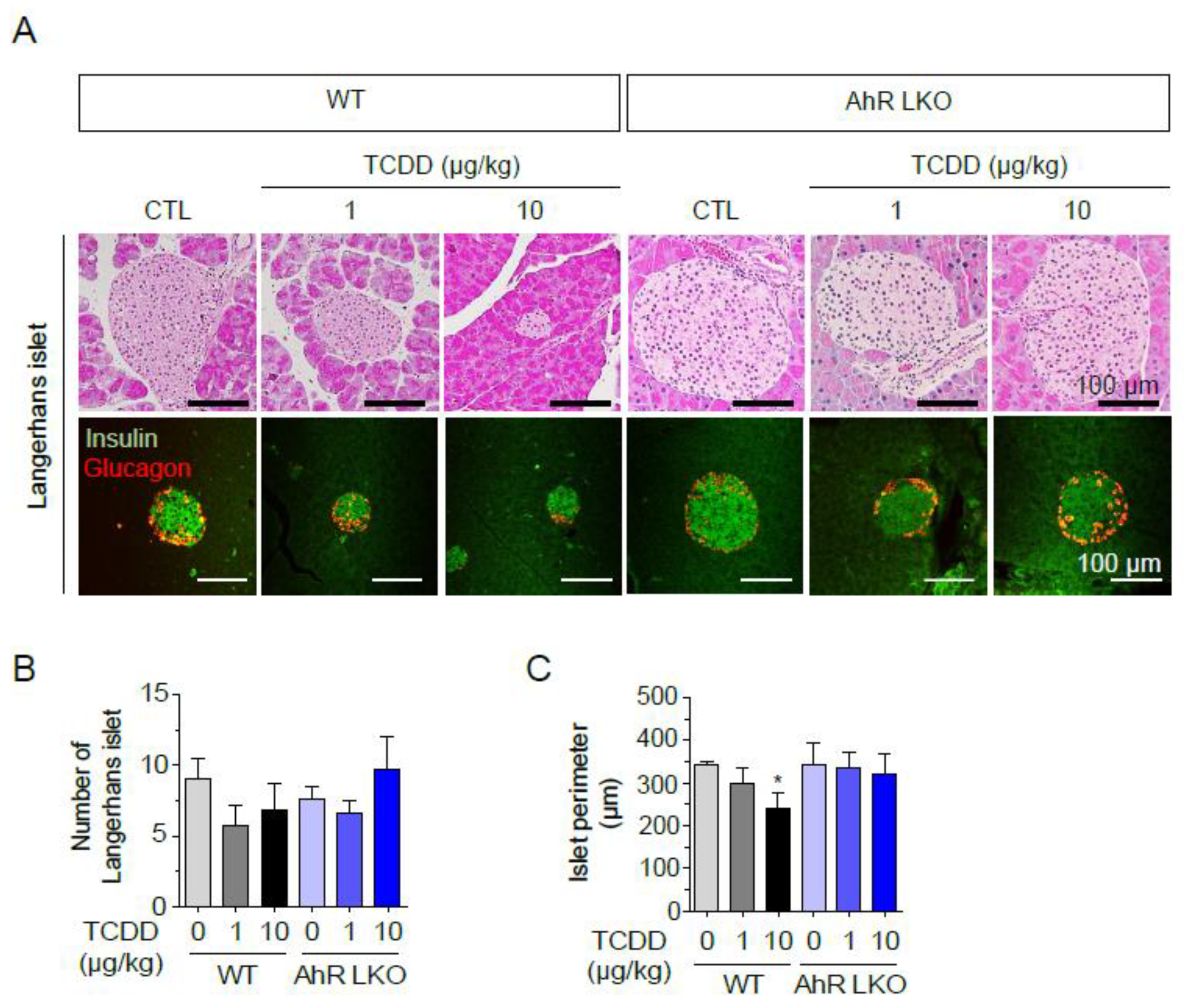 Preprints 121284 g002