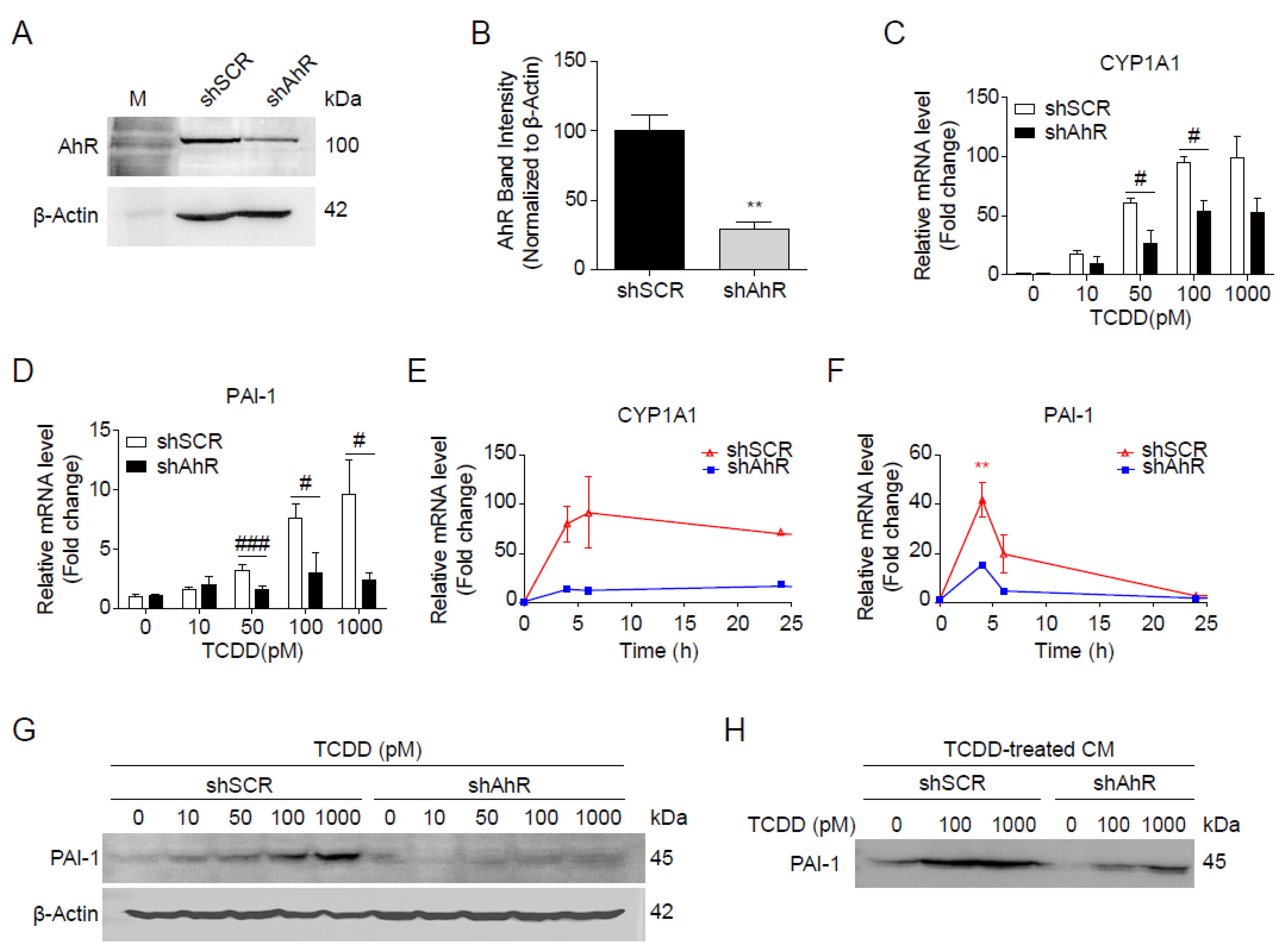 Preprints 121284 g005