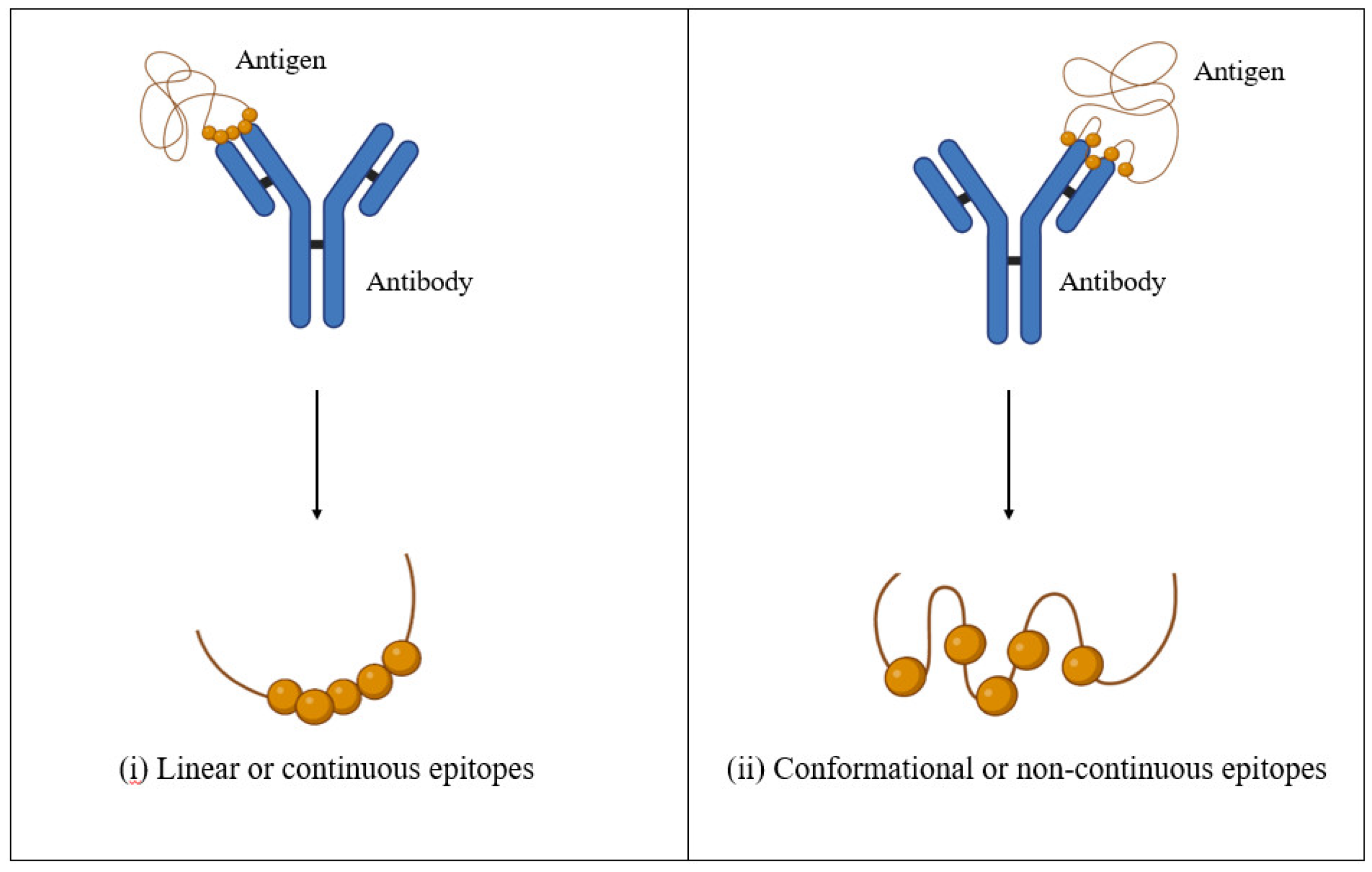 Preprints 117108 g002