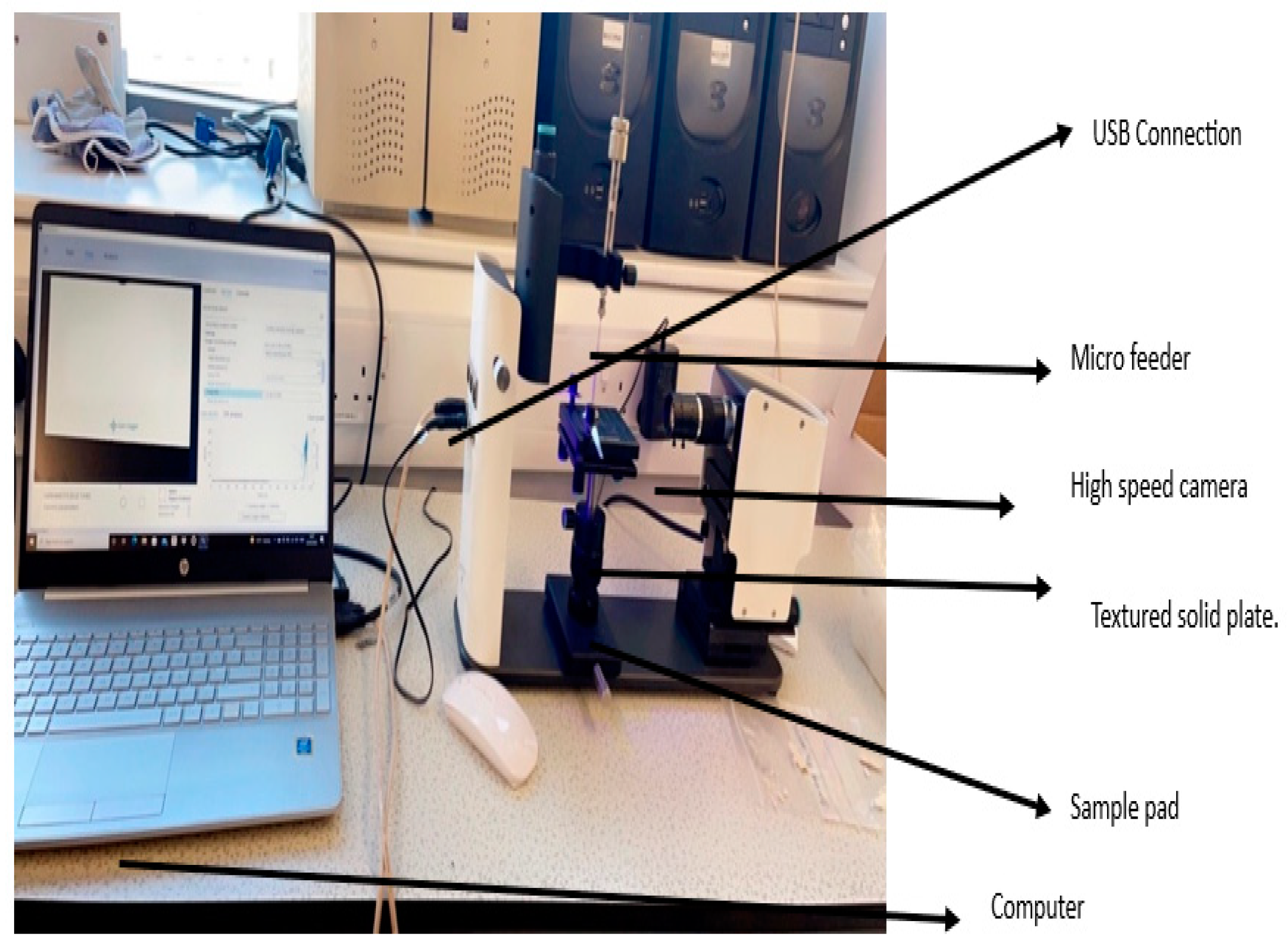 Preprints 88005 g002