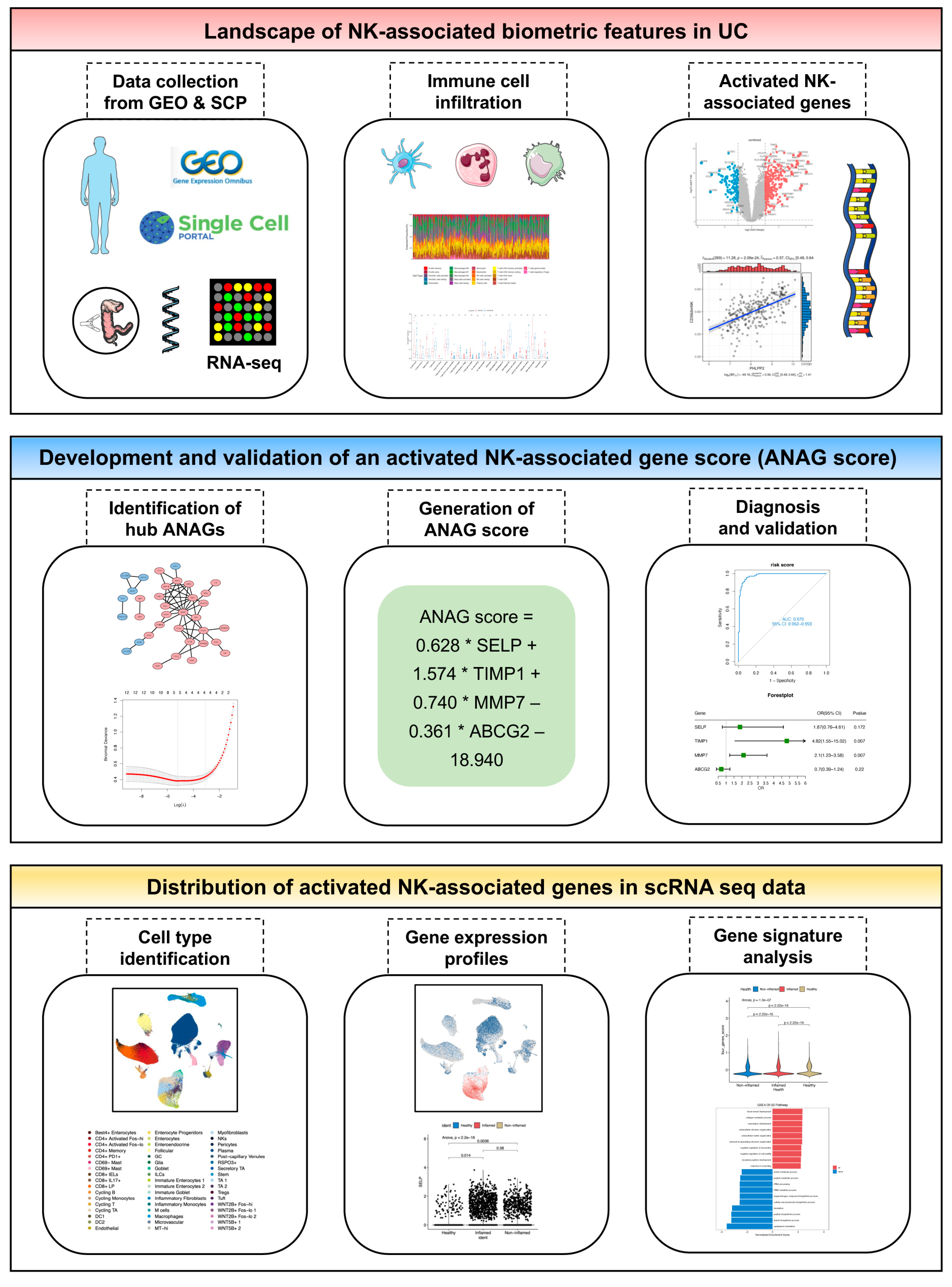 Preprints 83237 g001